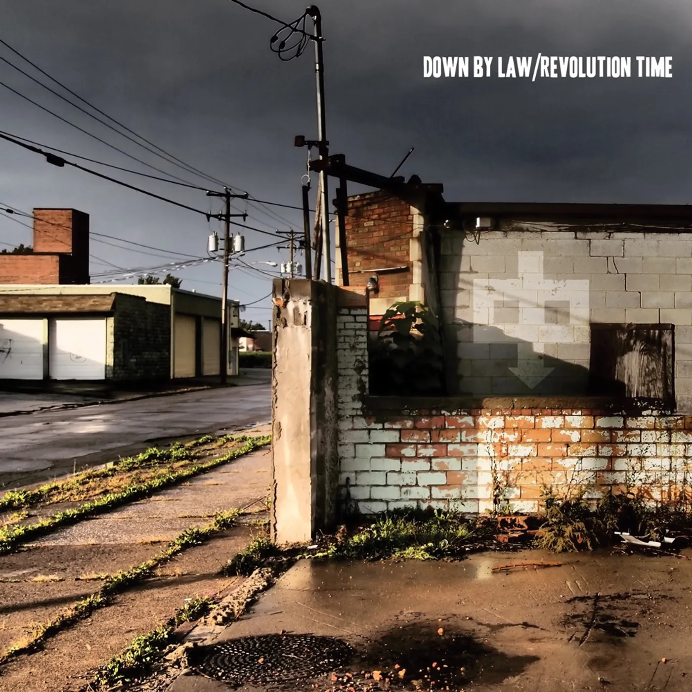Down By Law REVOLUTION TIME (CRYSTAL CLEAR VINYL) Vinyl Record