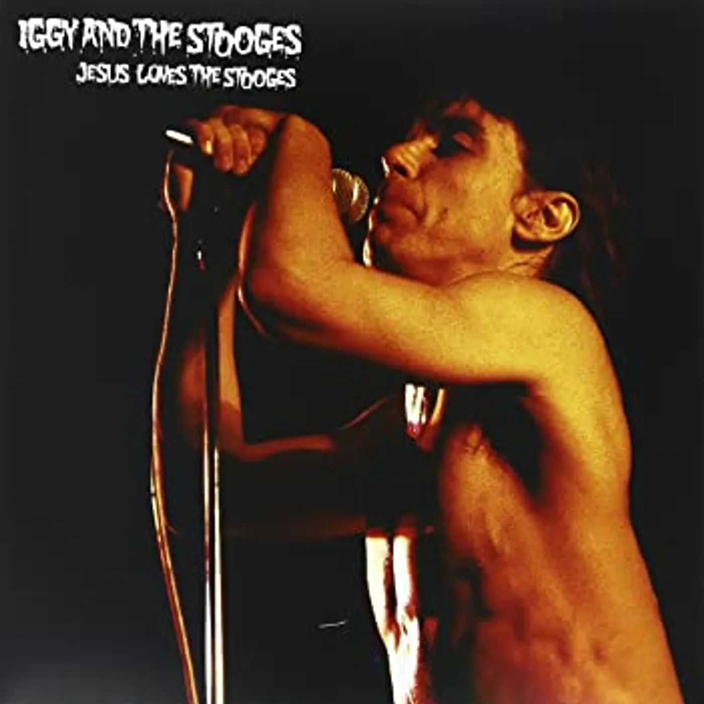Iggy and the Stooges Jesus Loves The Stooges Vinyl Record
