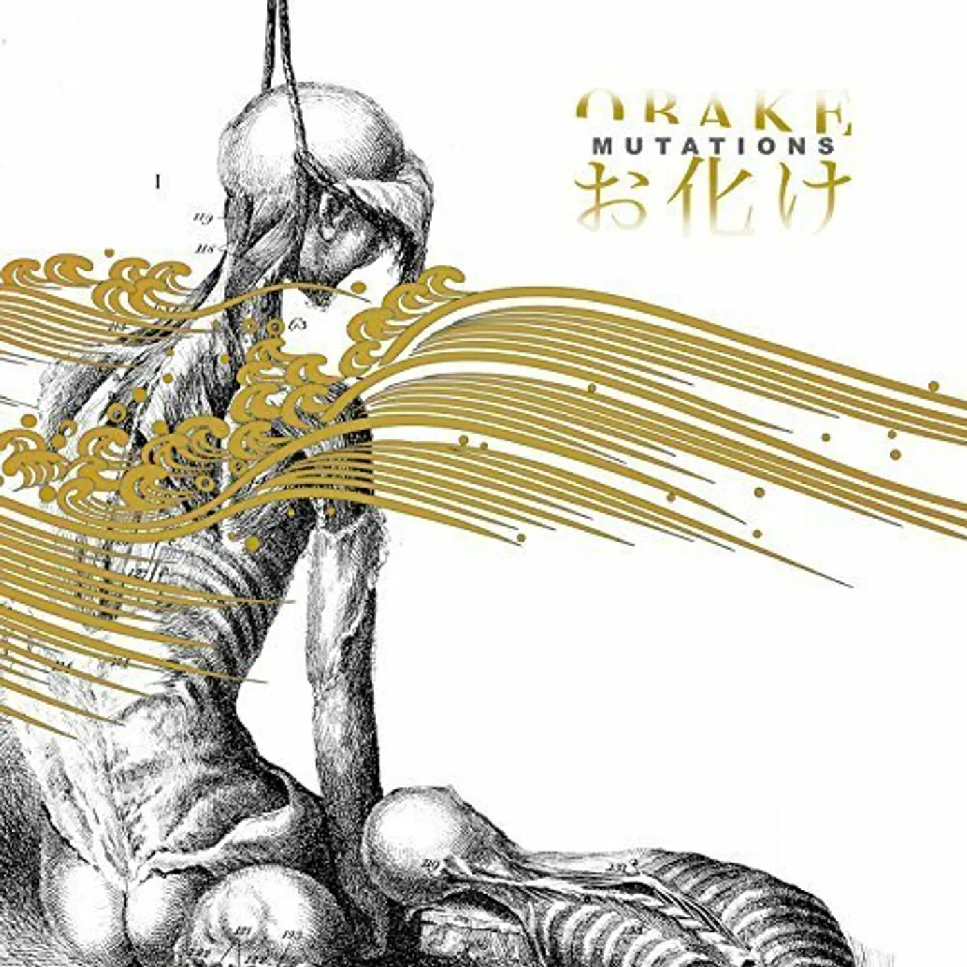 Obake Mutations Vinyl Record
