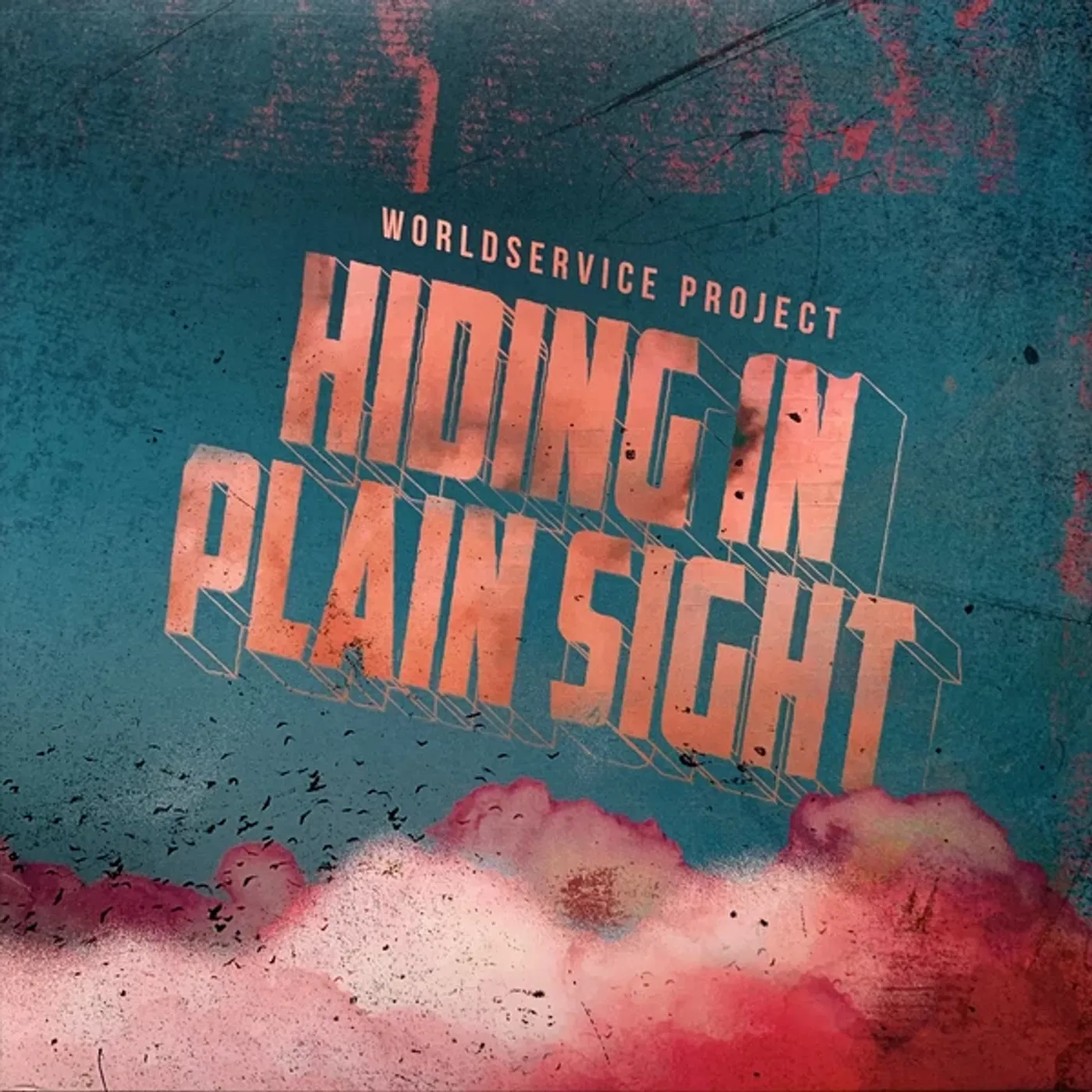 WorldService Project Hiding In Plain Sight Vinyl Record