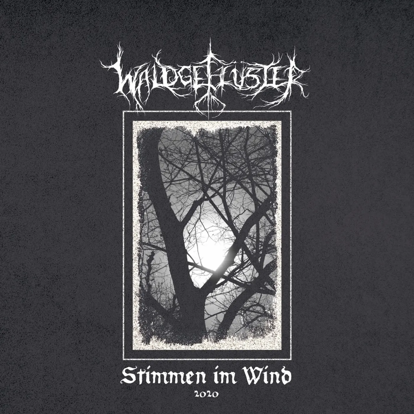 Waldgeflüster Stimmen Im Wind 2020 Vinyl Record