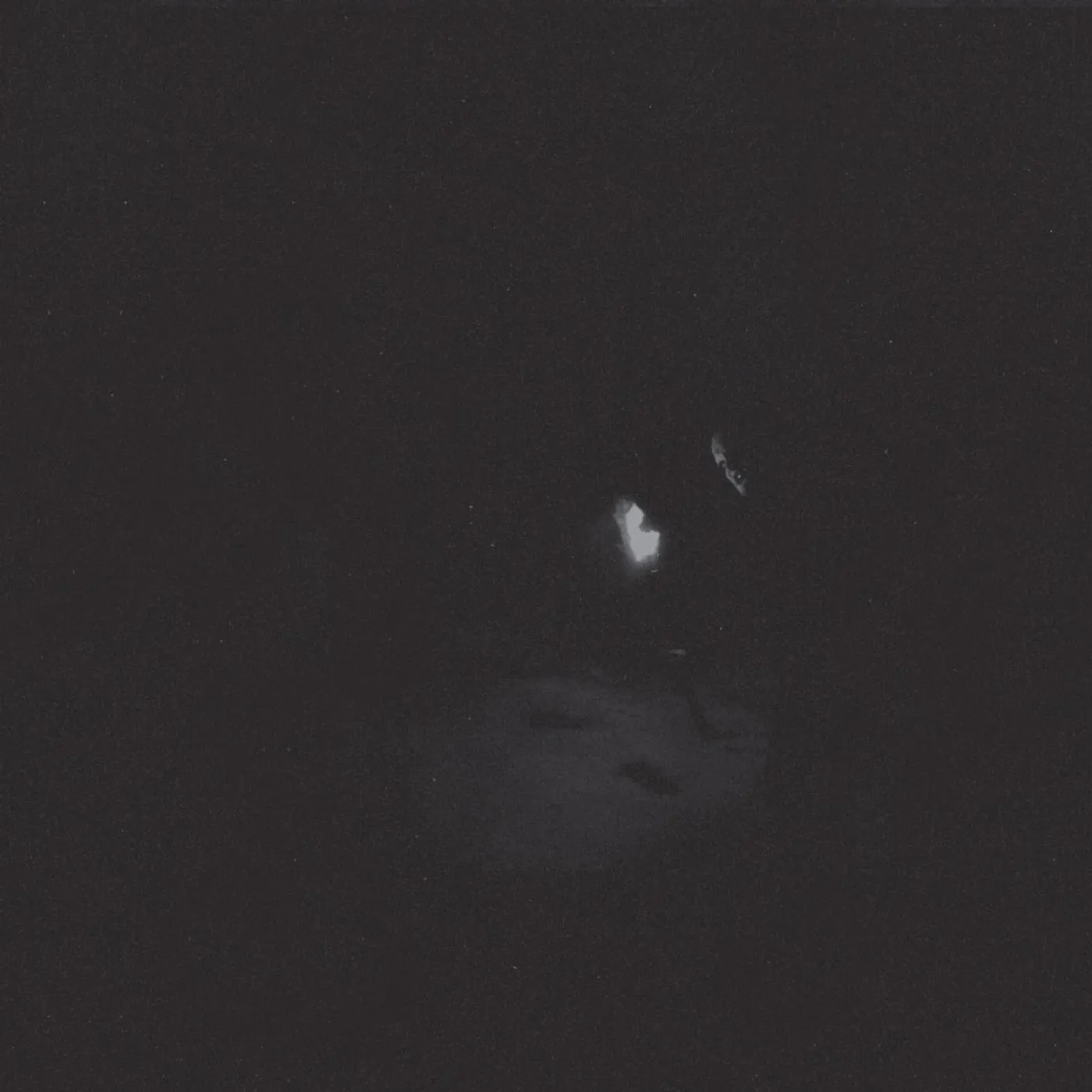 Paysage D'Hiver NACHT Vinyl Record