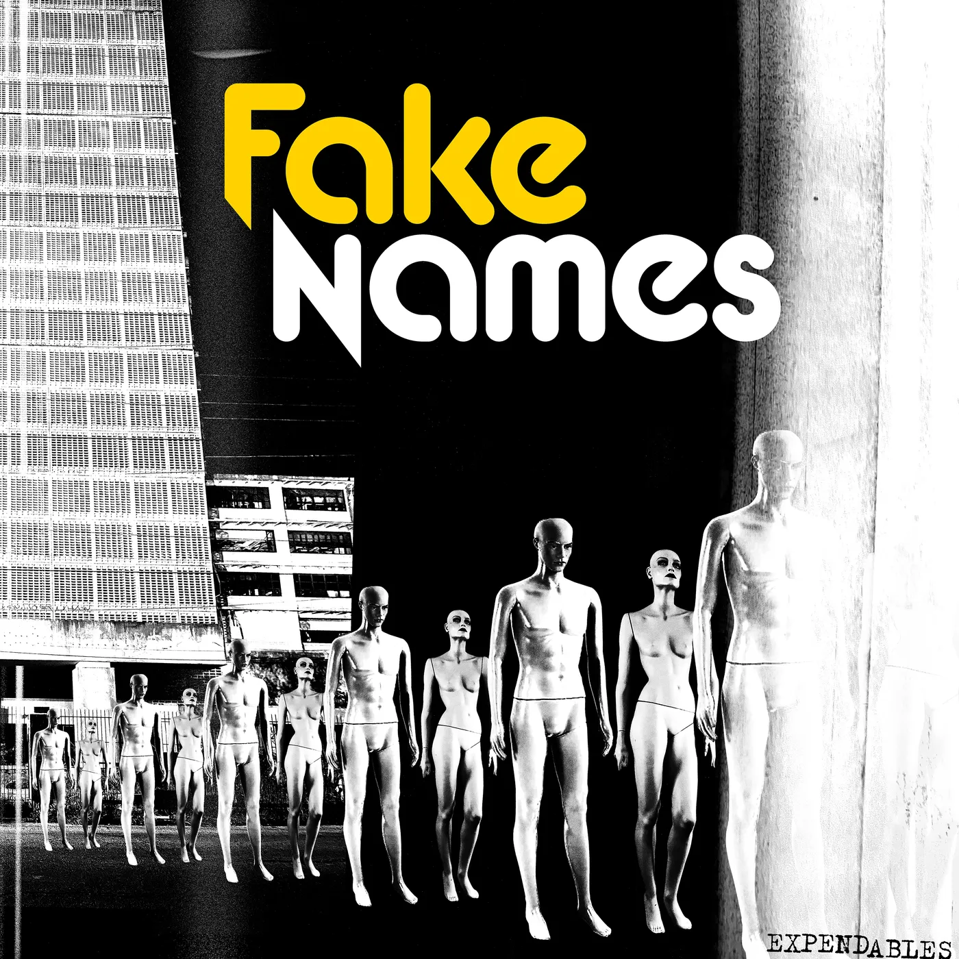 Fake Names Expendables Vinyl Record