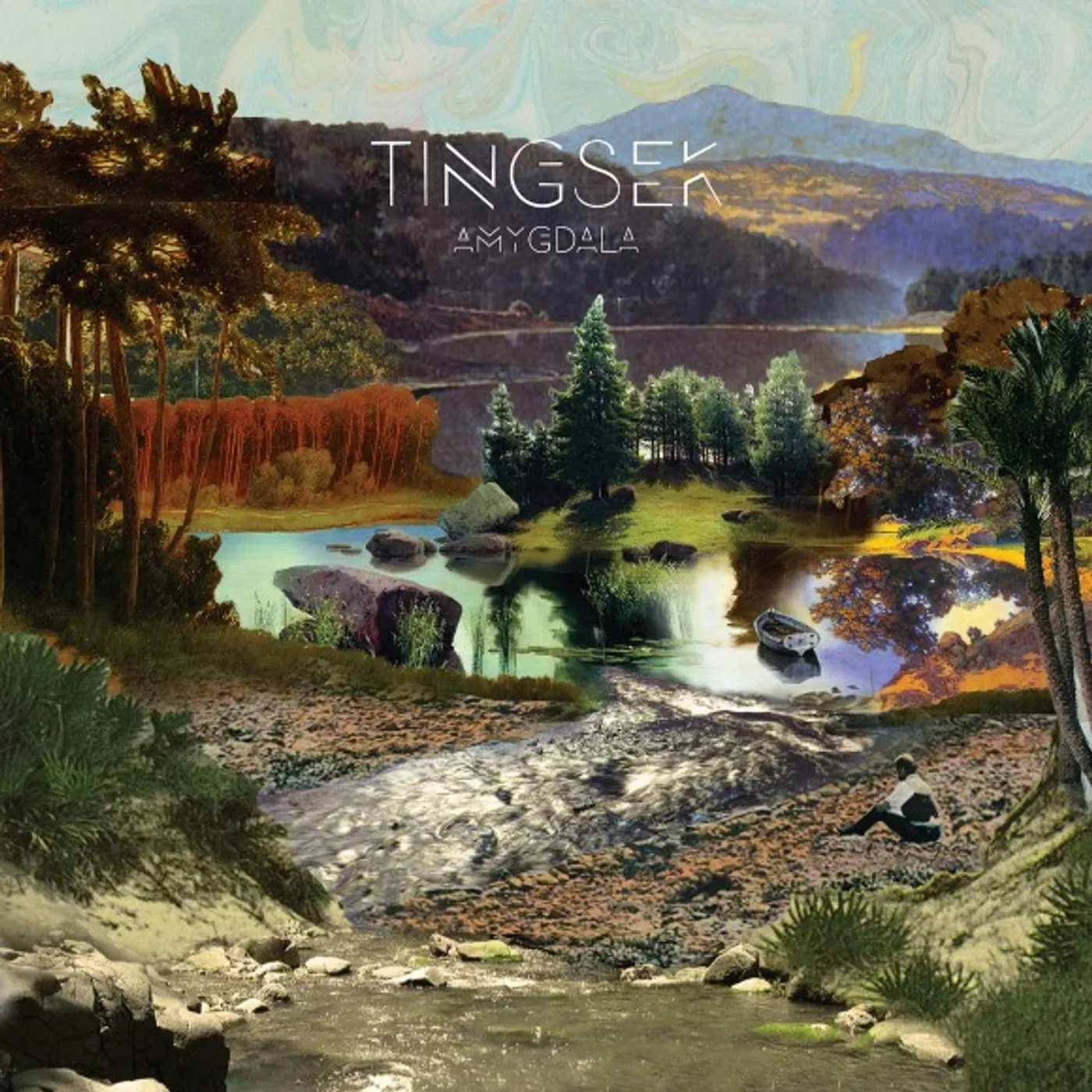 Tingsek Amygdala Vinyl Record