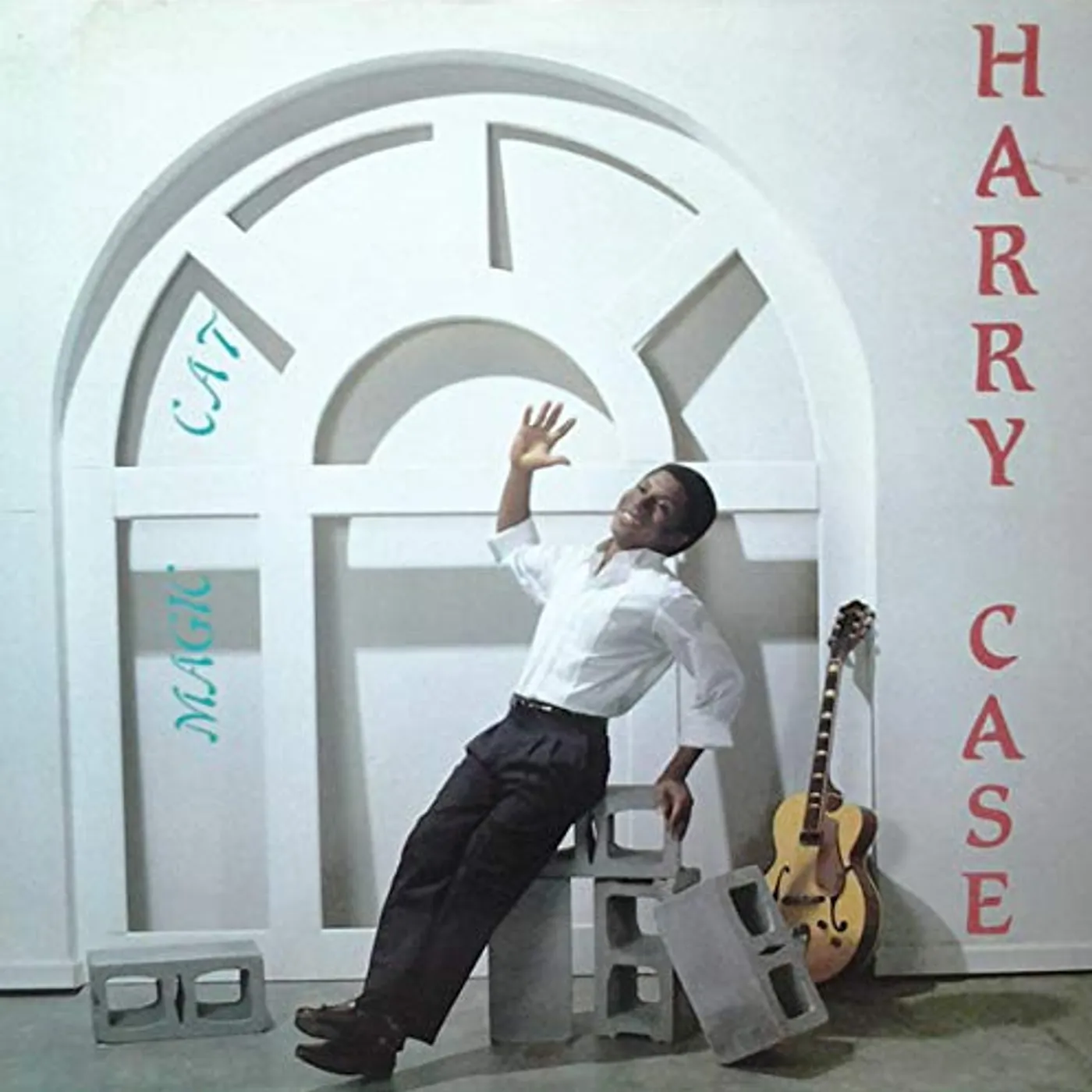 Harry Case Magic Cat Vinyl Record
