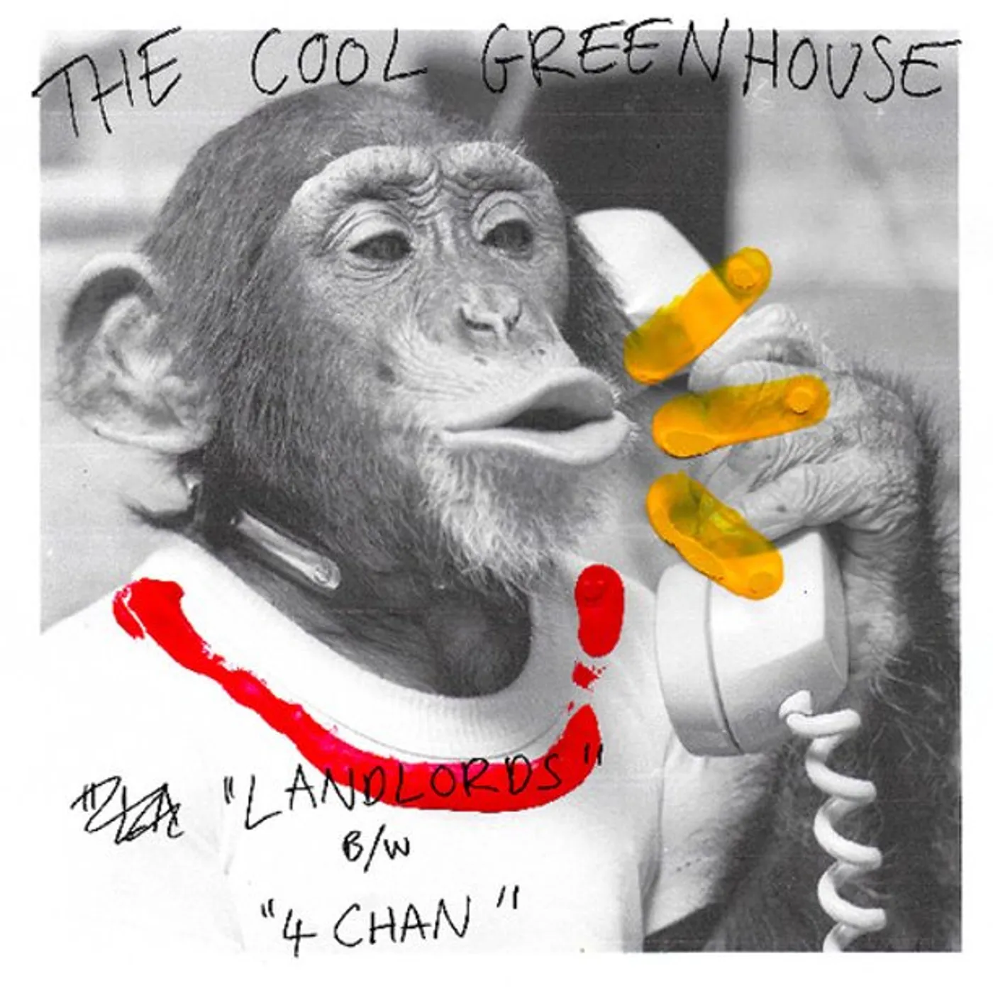 The Cool Greenhouse Landlords/4Chan Vinyl Record
