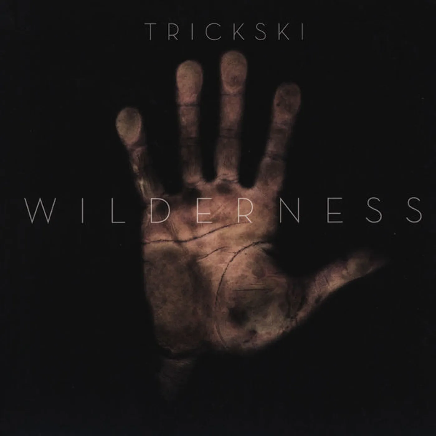 Trickski Wilderness Vinyl Record