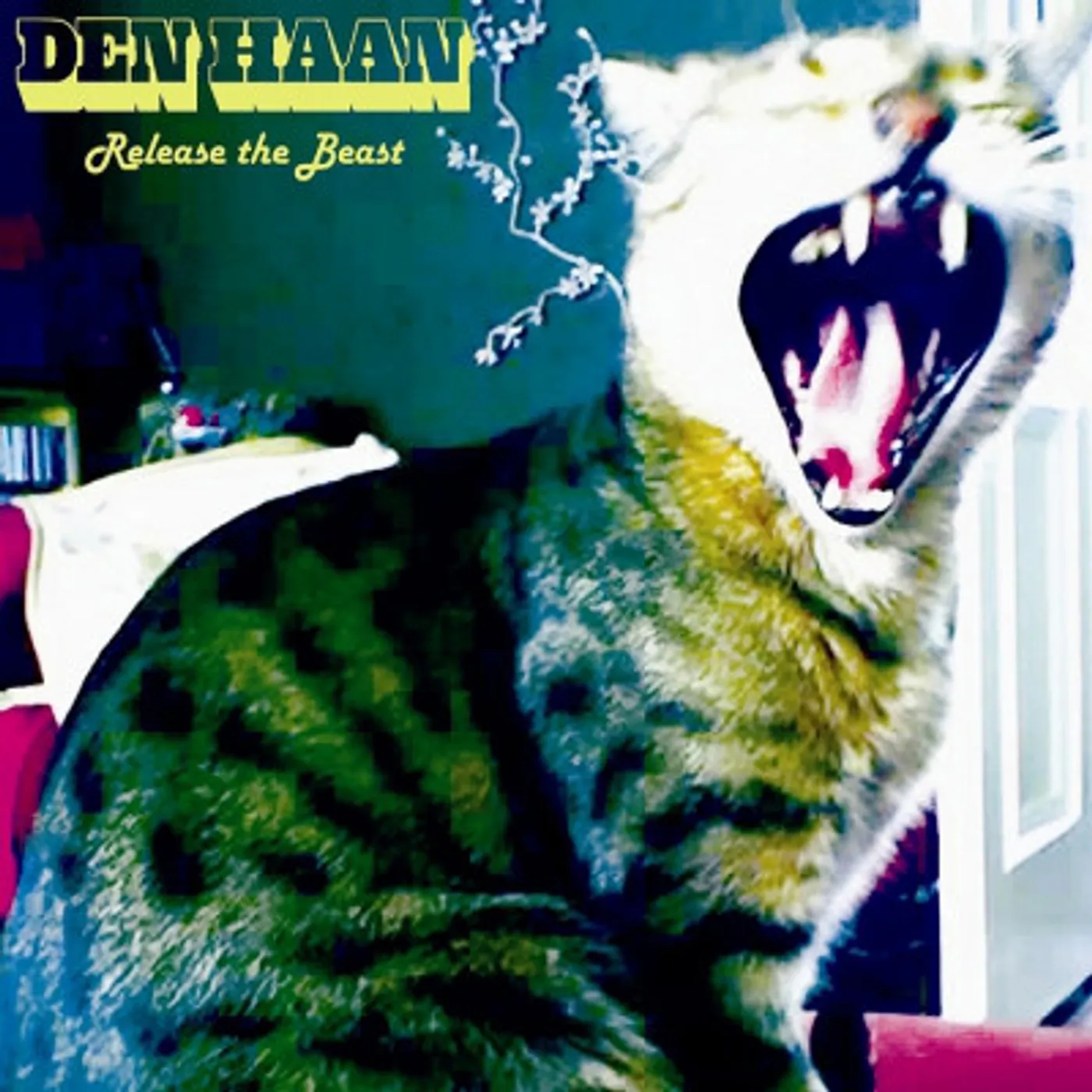 Den Haan Release The Beast Vinyl Record