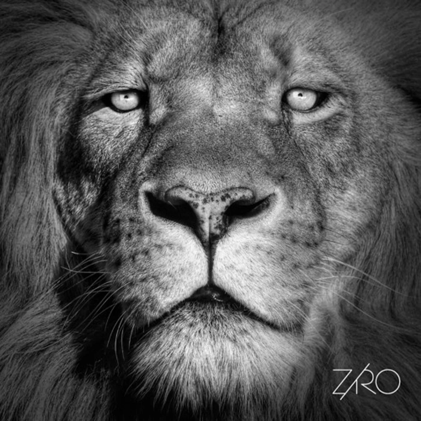 Ziro Lionheart Vinyl Record