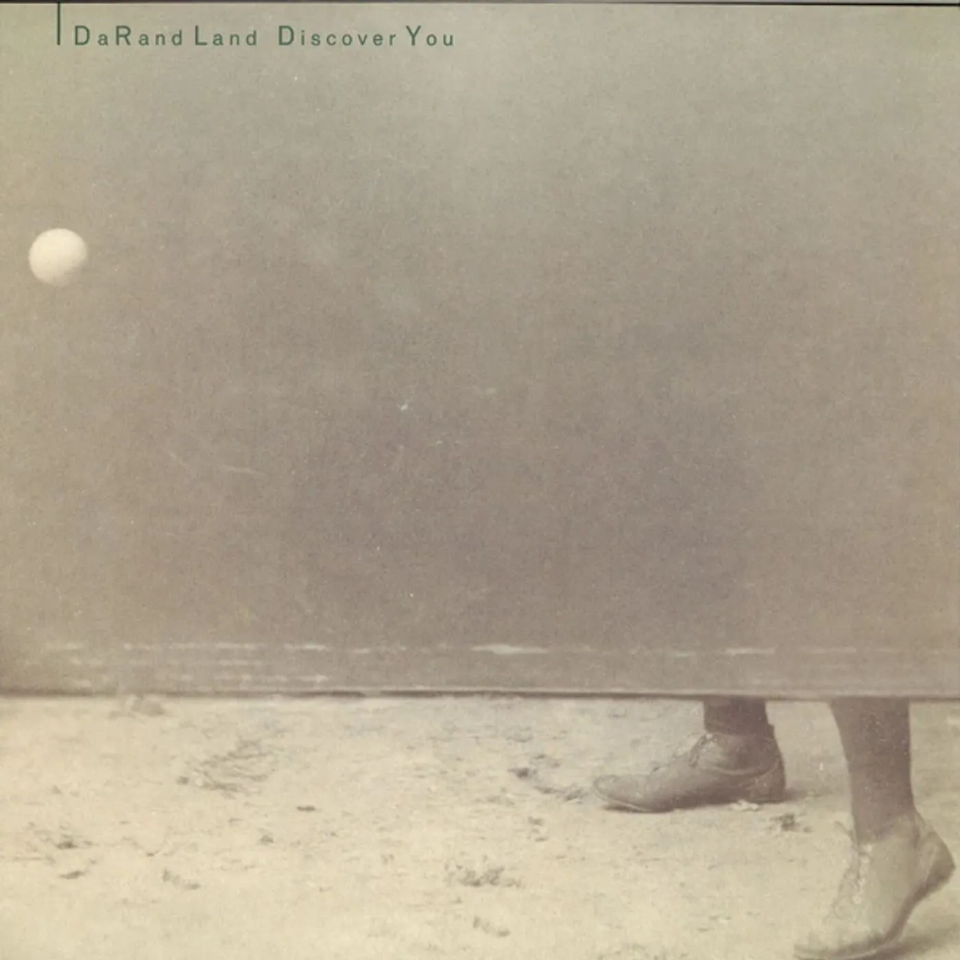 DaRand Land Discover You Vinyl Record