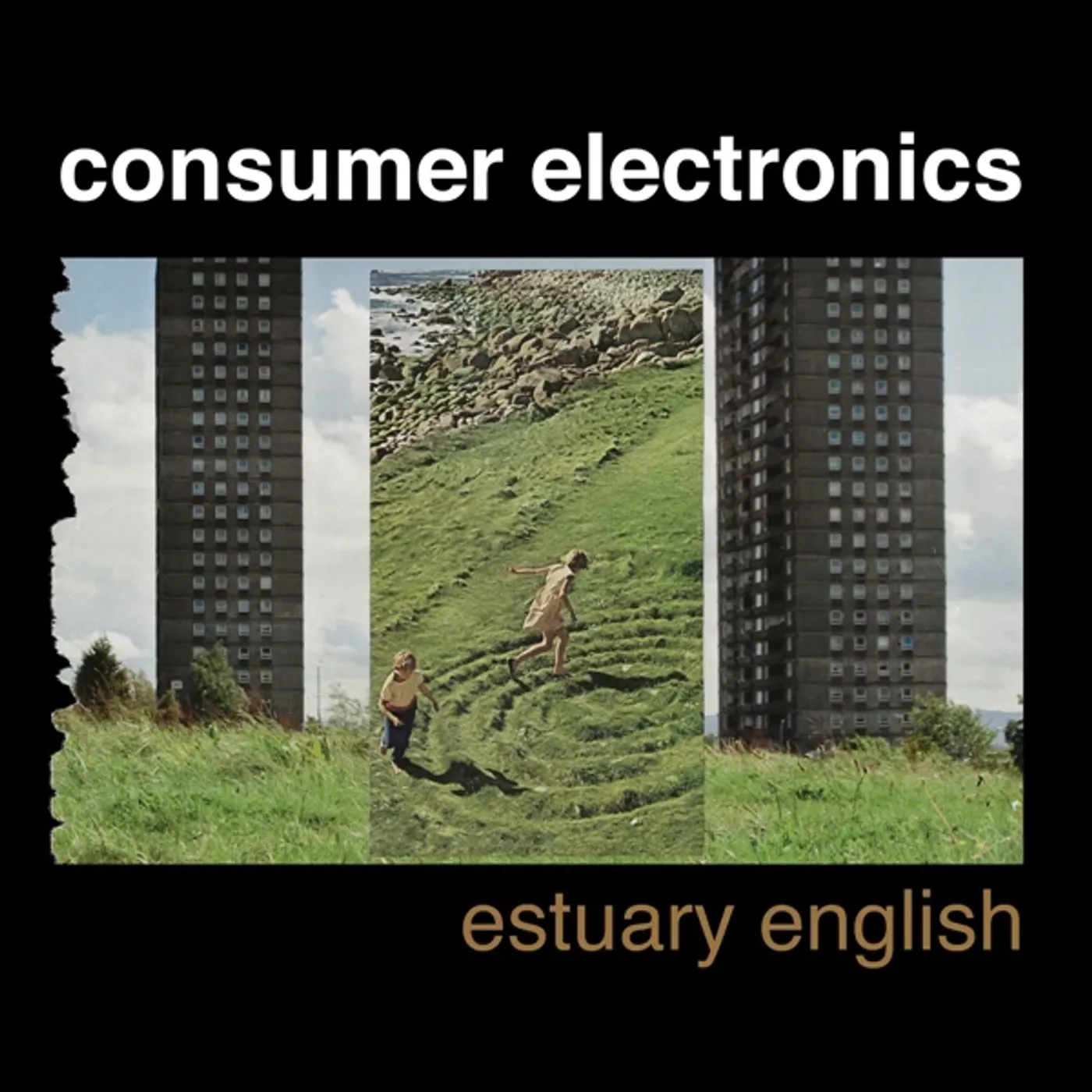 Consumer Electronics Estuary English Vinyl Record