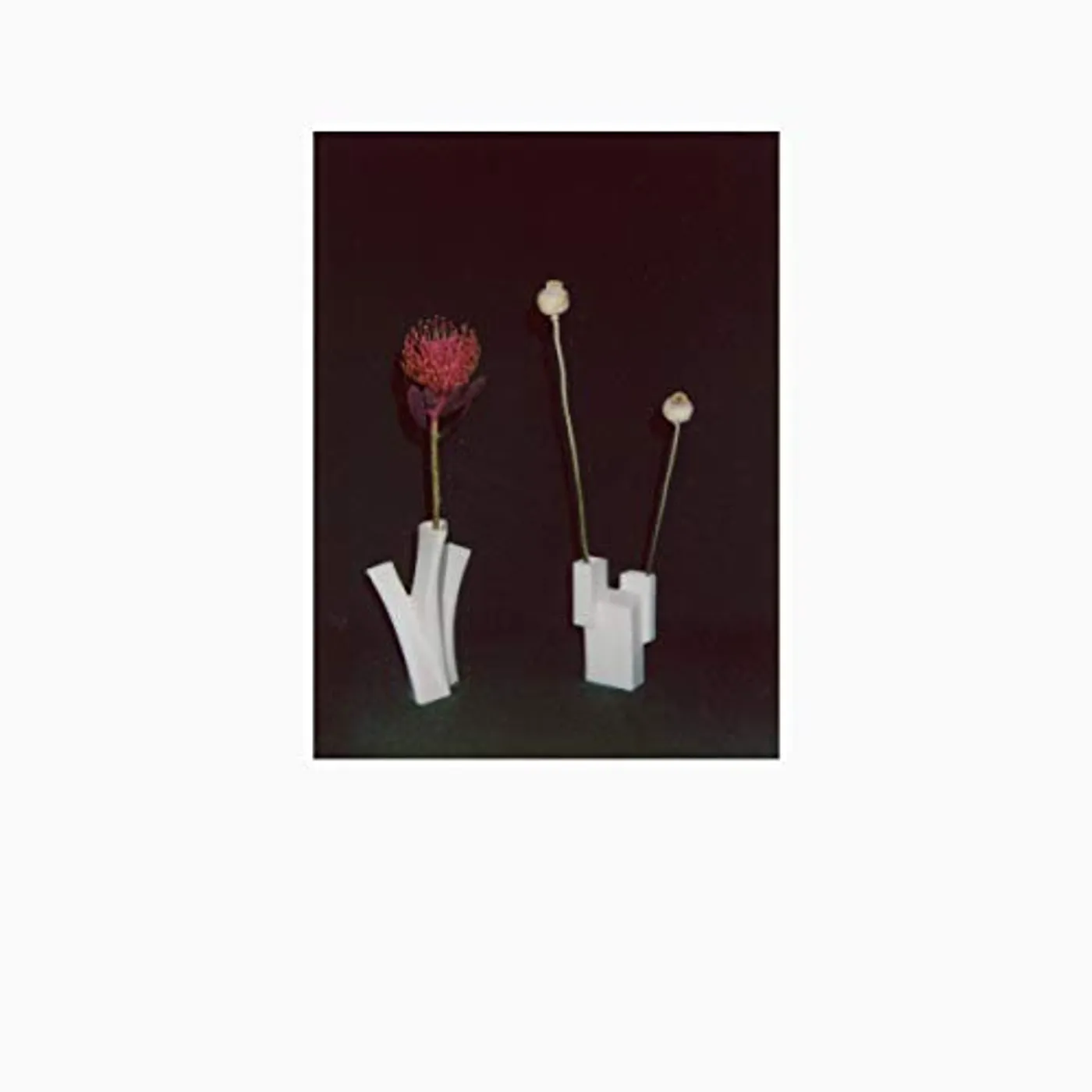 Felicia Atkinson FLOWER & THE VESSEL CD