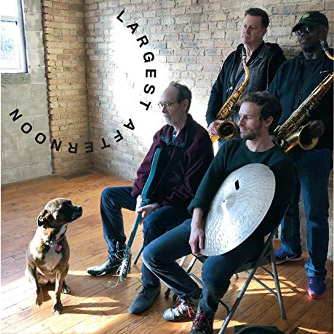 Arto Lindsay Largest Afternoon CD
