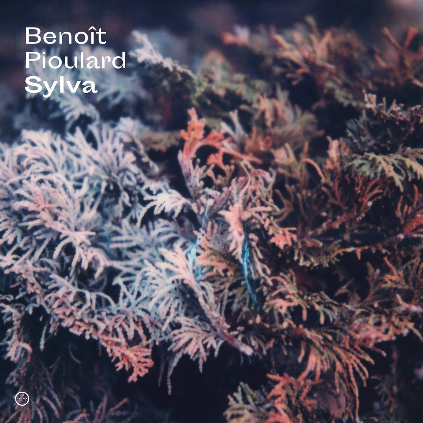 Benoît Pioulard 59961 SYLVA CD