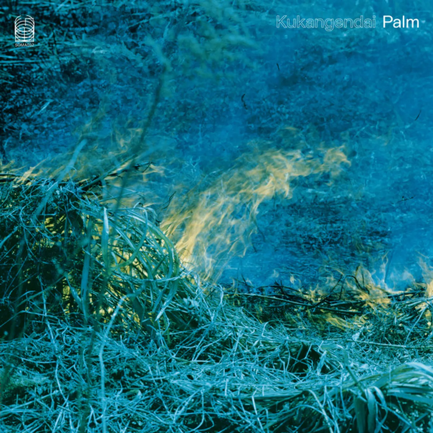 Kukangendai Palm Vinyl Record