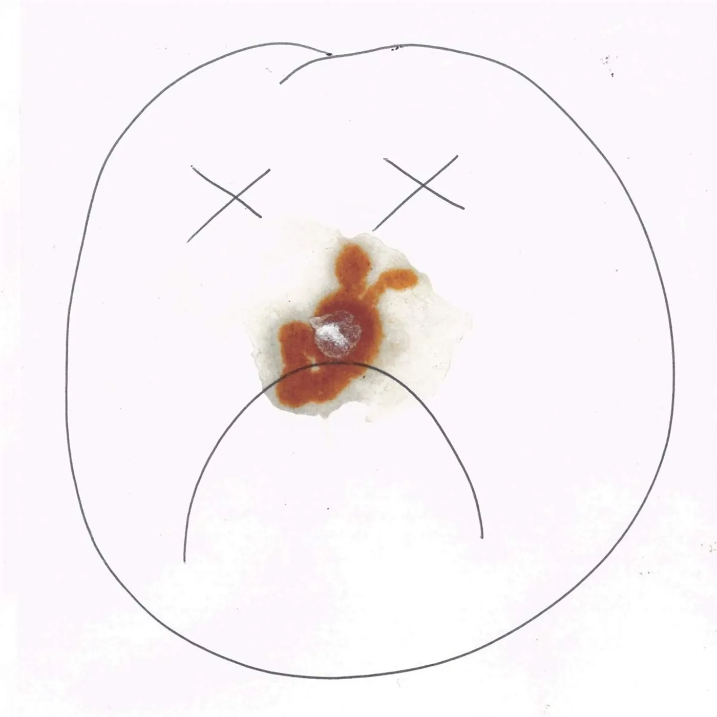 Ewa Justka Upside Down Smile Vinyl Record