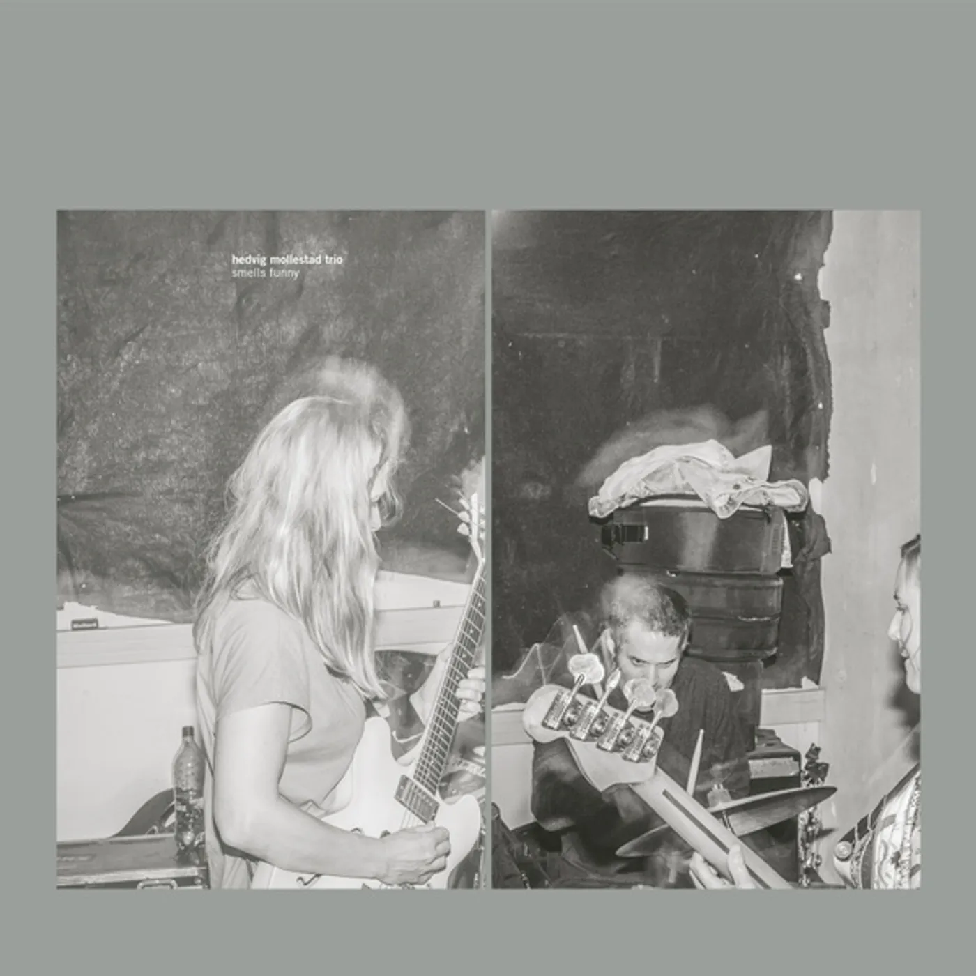 Hedvig Mollestad Trio Smells Funny Vinyl Record
