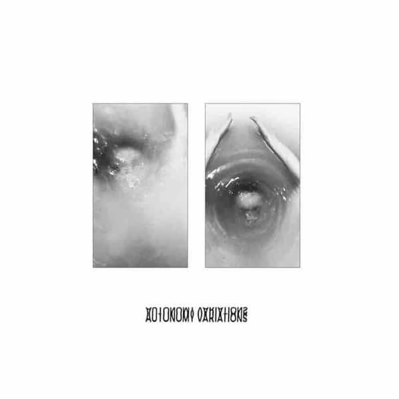 The Golden Filter Autonomy Vinyl Record