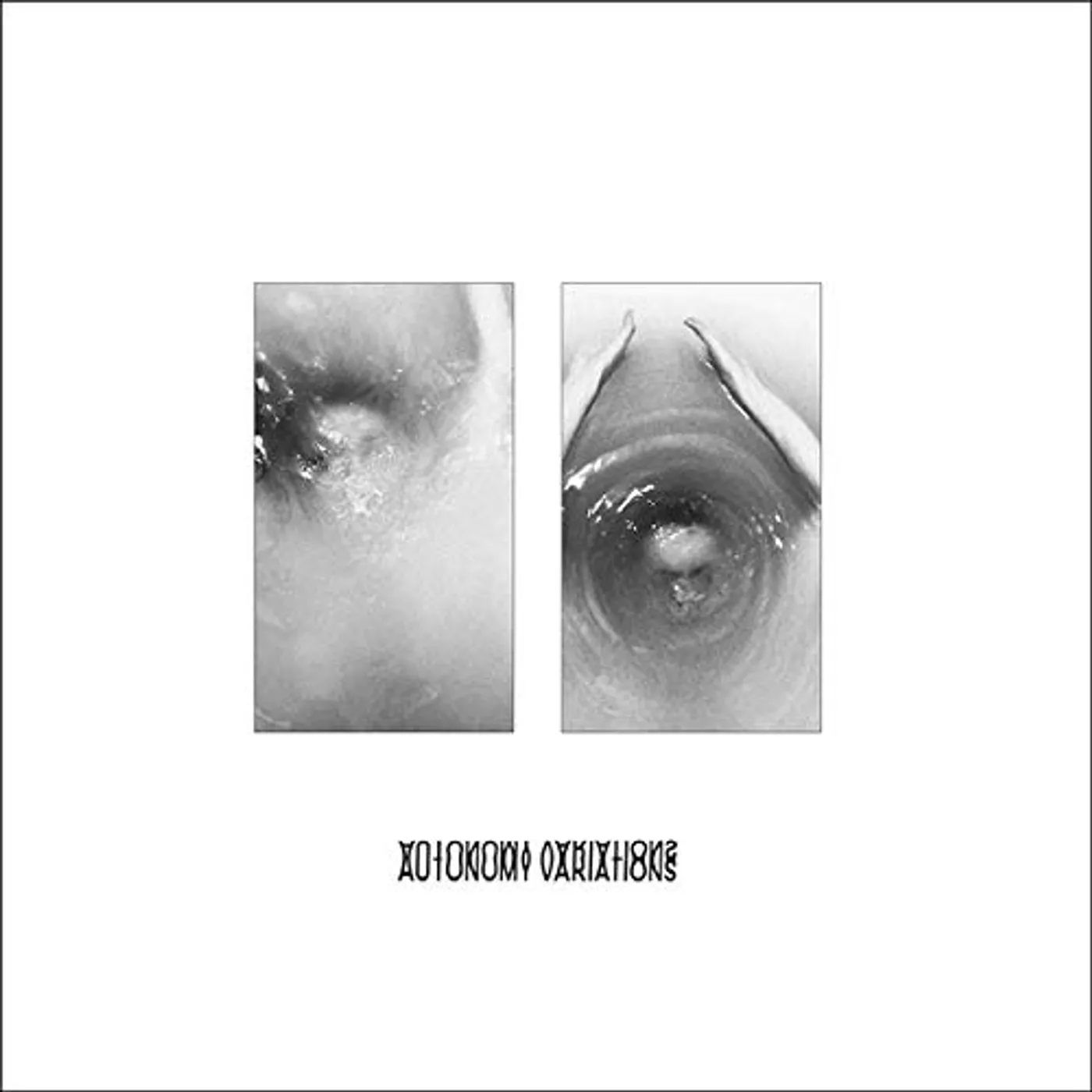 The Golden Filter Autonomy variations Vinyl Record