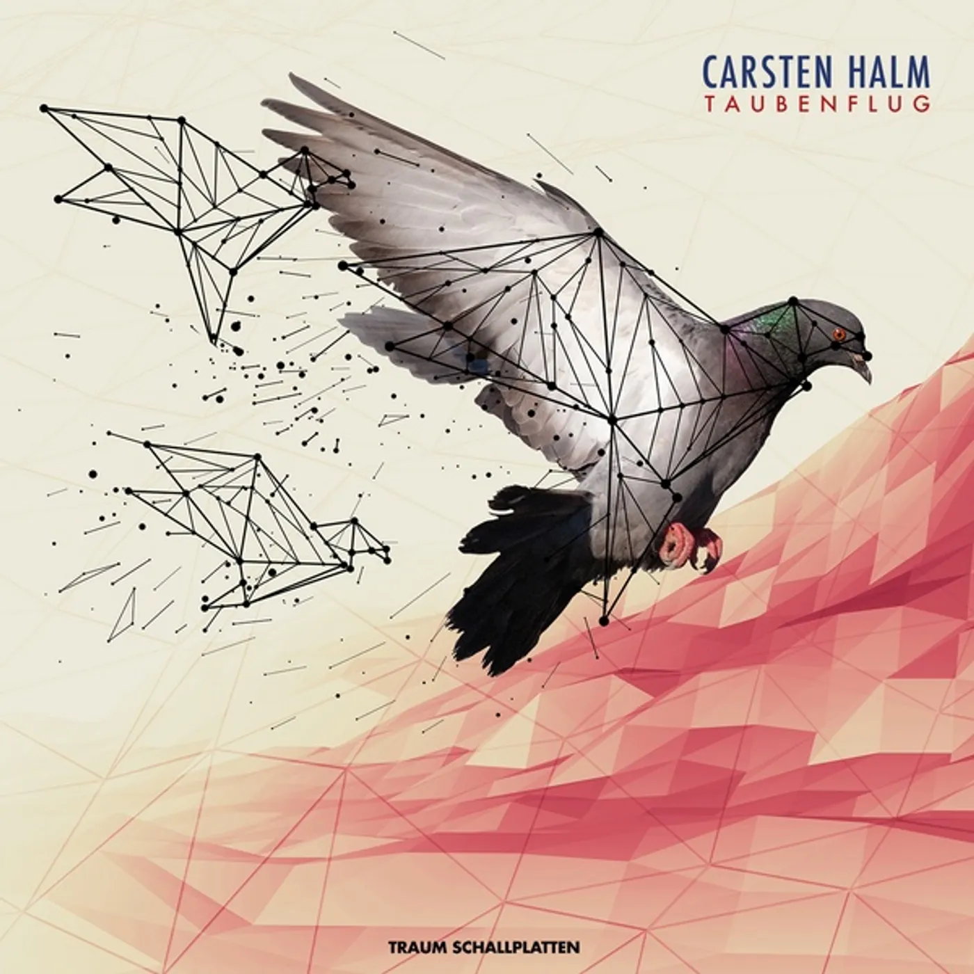 Carsten Halm Taubenflug Vinyl Record
