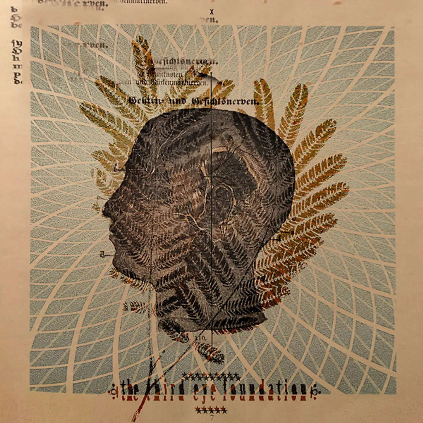 Third Eye Foundation Wake The Dead Vinyl Record