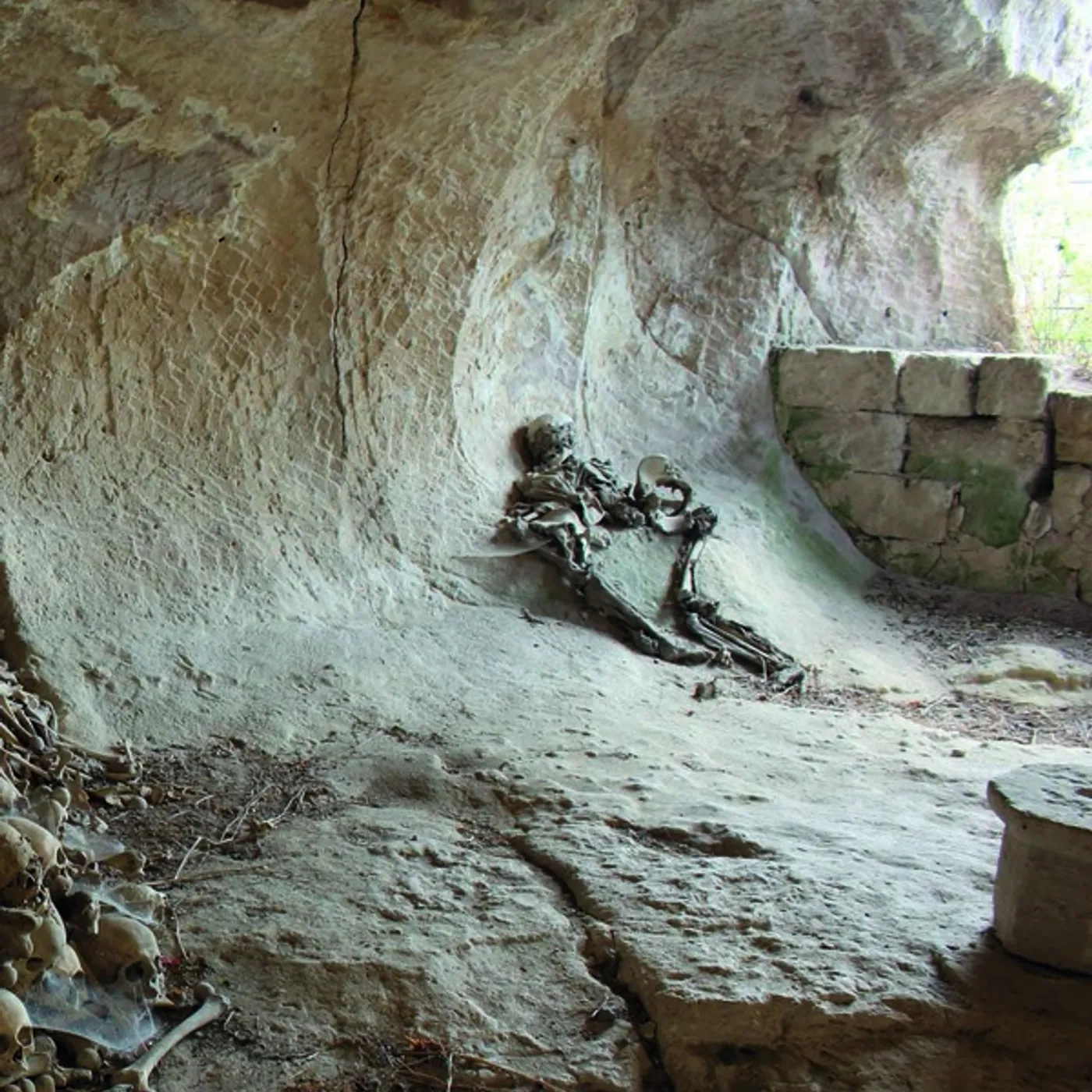 Controlled Death Ritualistic Mutilation In The Bloody Darkness Vinyl Record