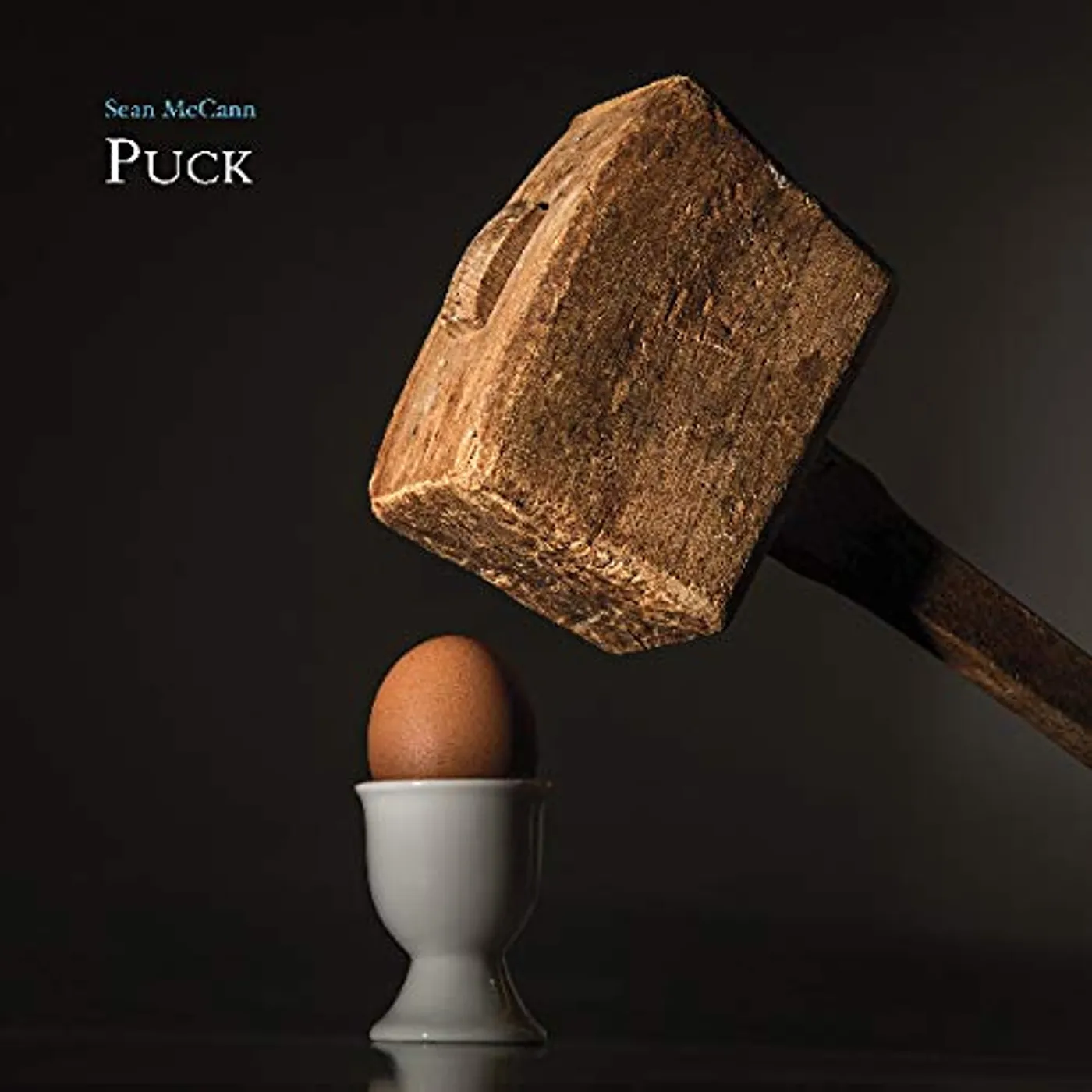 Sean McCann Puck Vinyl Record