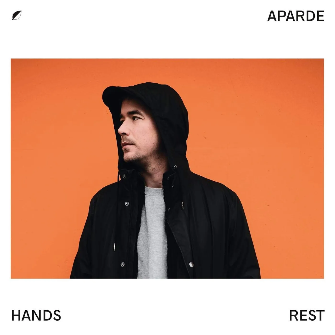 Aparde Hands Rest Vinyl Record
