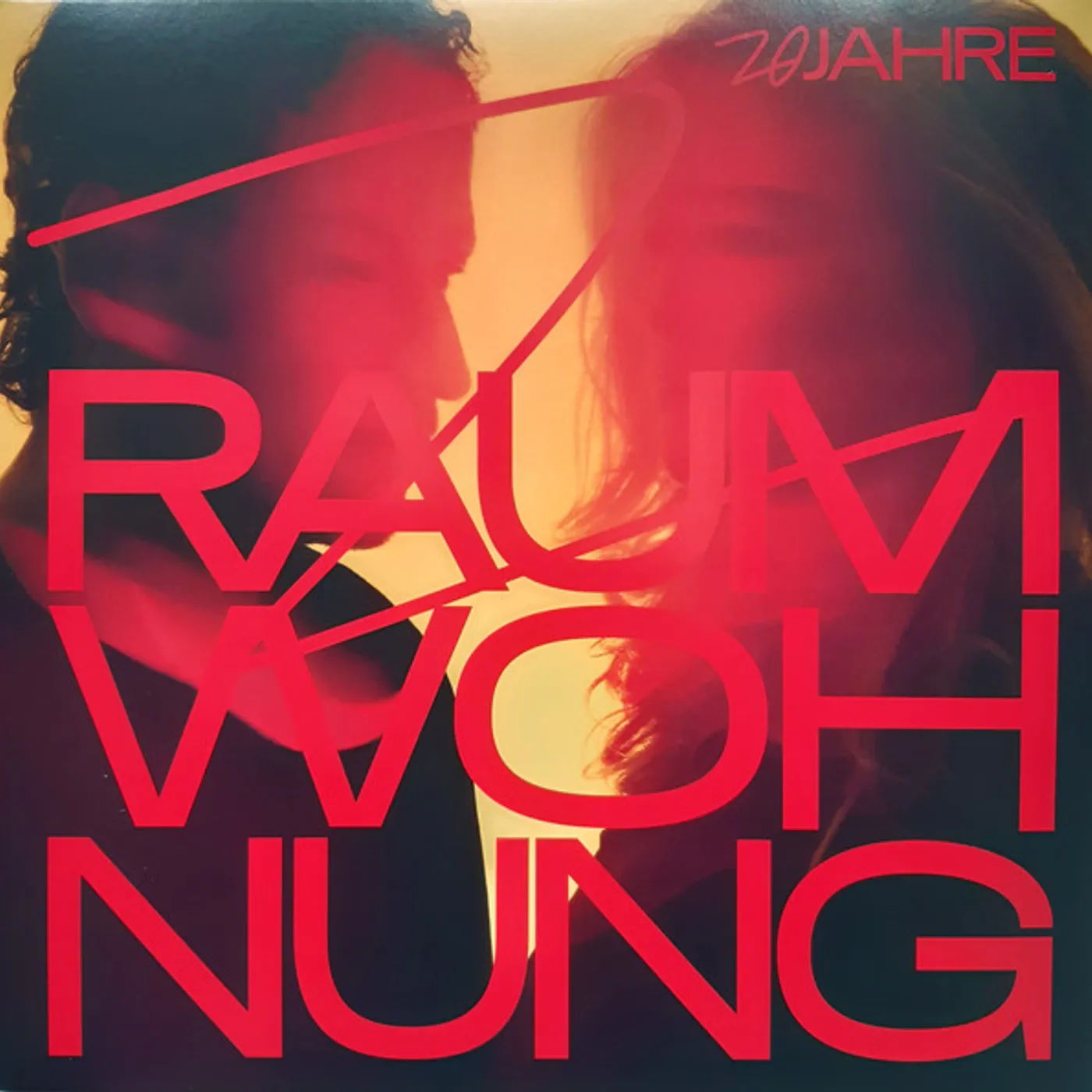 20 Jahre 2 Raumwohnung Vinyl Record