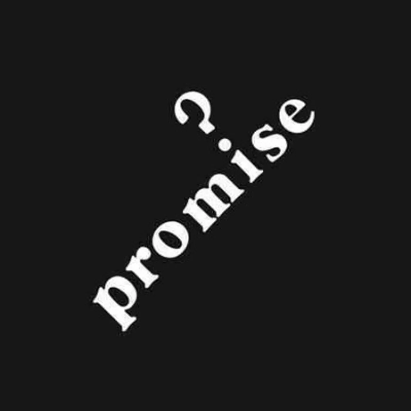 Promise Vinyl Record