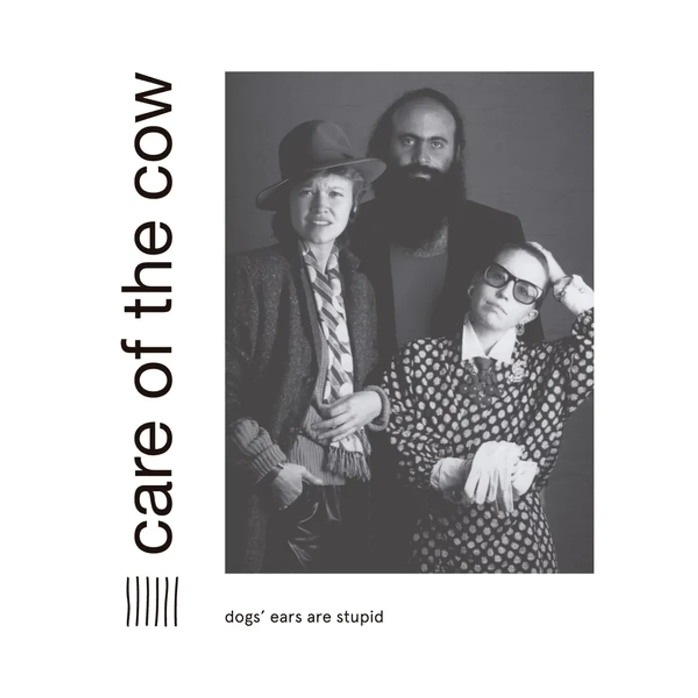 Care Of The Cow Dogs' Ears Are Stupid Vinyl Record