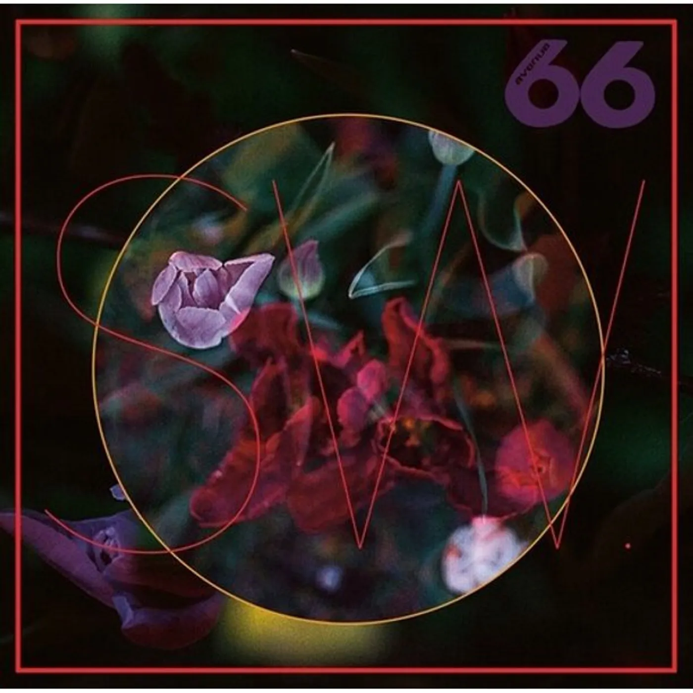 SW. Truelips Vinyl Record