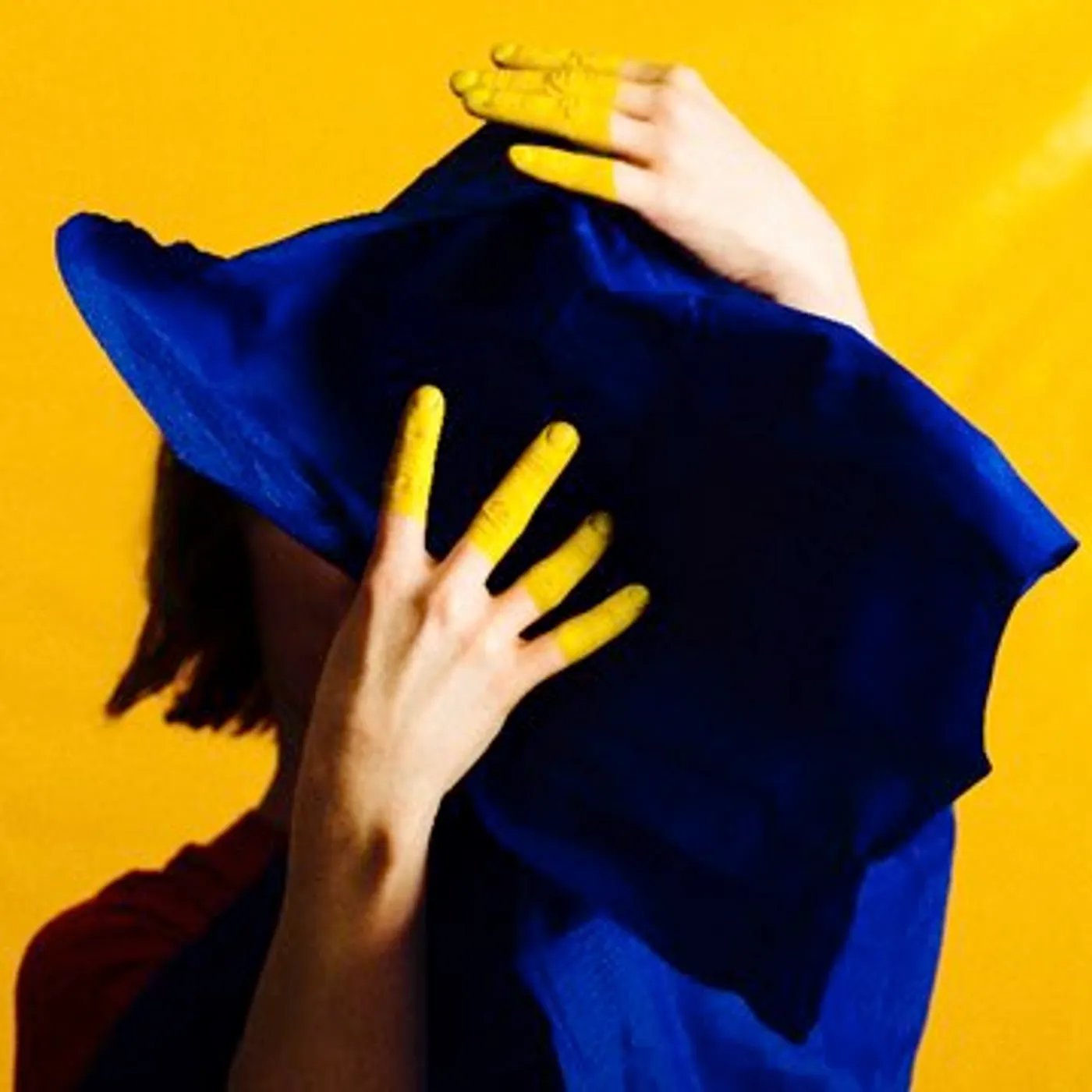 Stine Janvin Fake Synthetic Music Vinyl Record