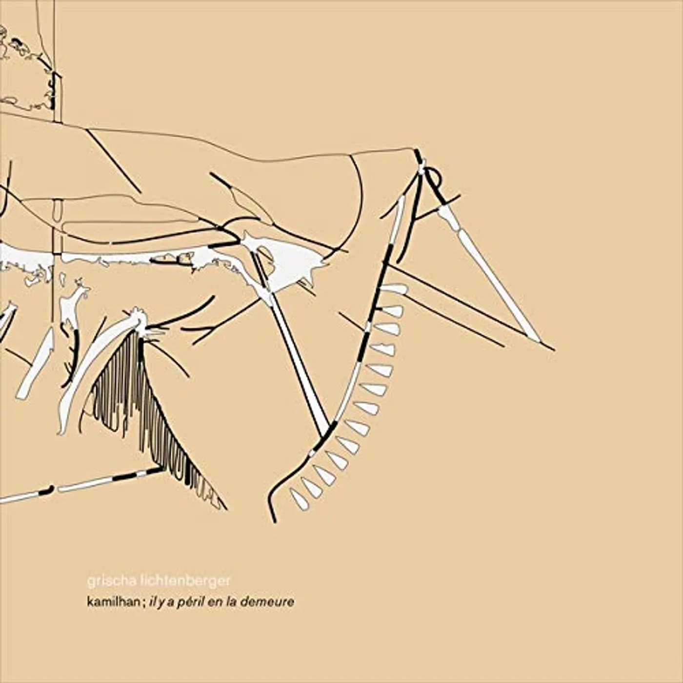 Grischa Lichtenberger Kamilhan Il Y A Peril En La Demeure Vinyl Record