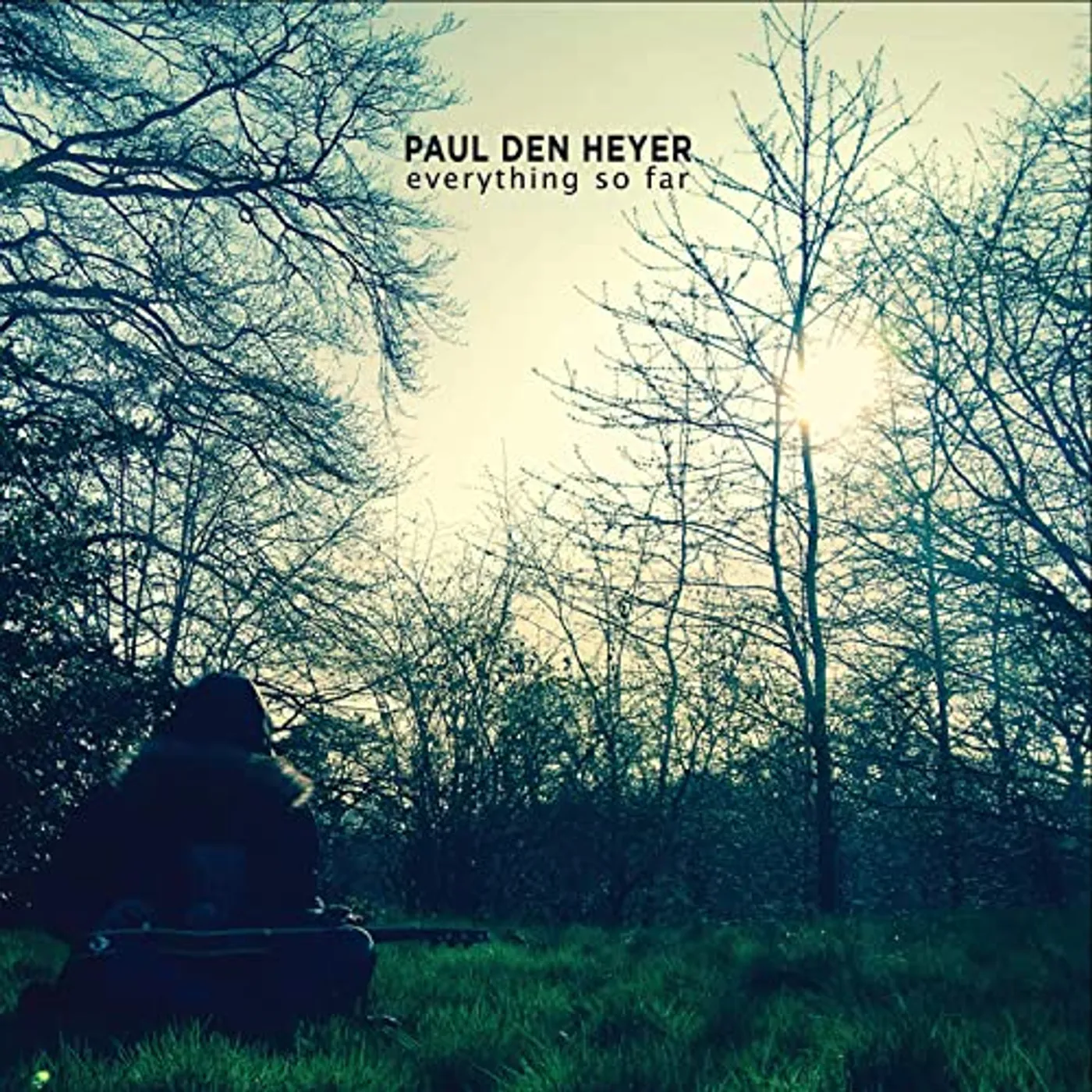 Paul Den Heyer Everything So Far Vinyl Record