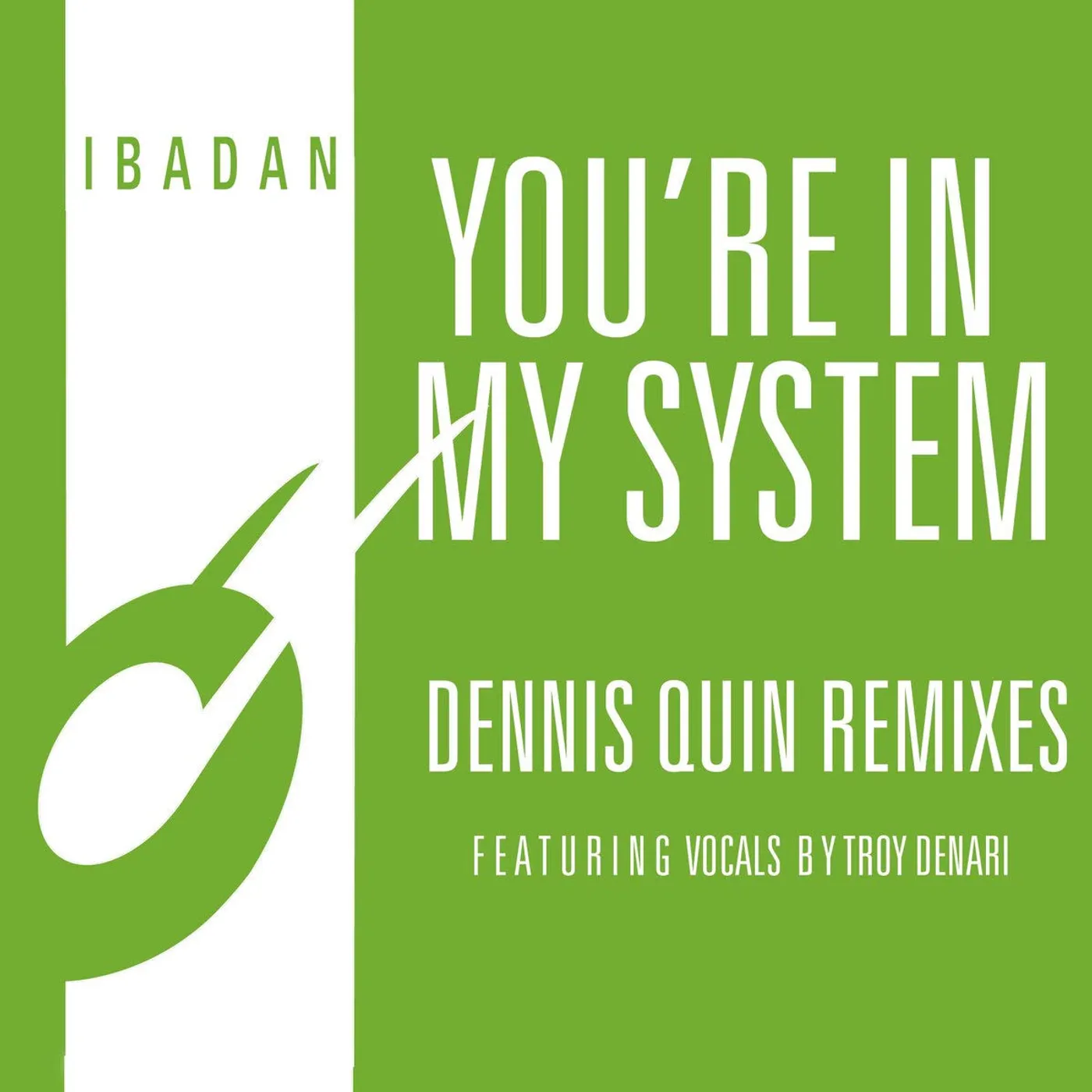 Jerome Sydenham/Kerri Chandler You're In My System Vinyl Record