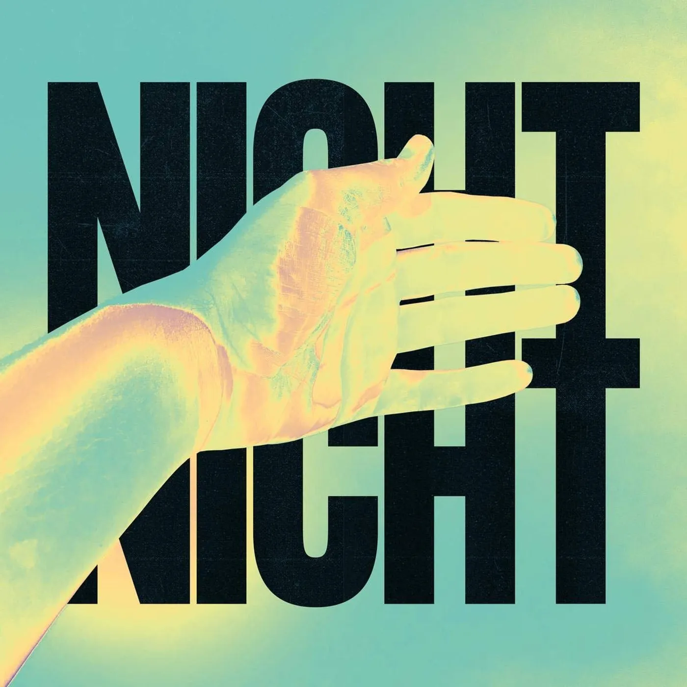 Love Songs Nicht Nicht Vinyl Record