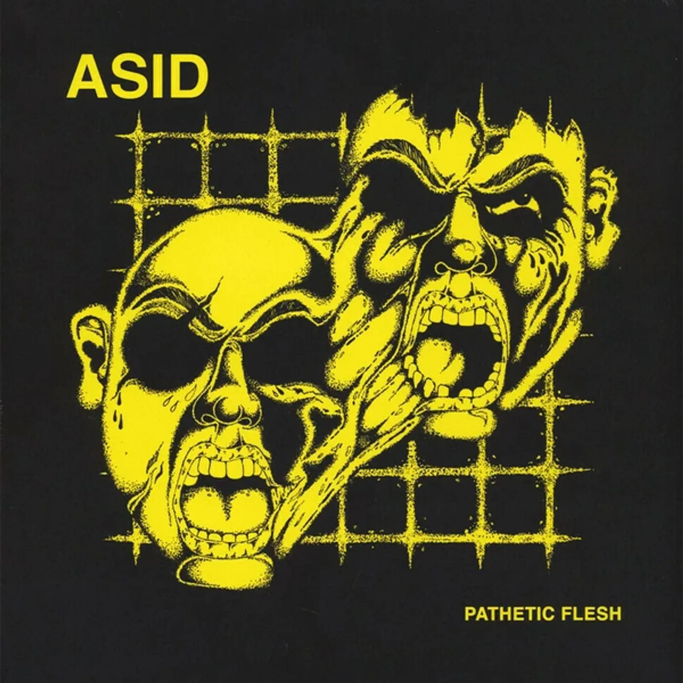 Asid Pathetic Flesh Vinyl Record