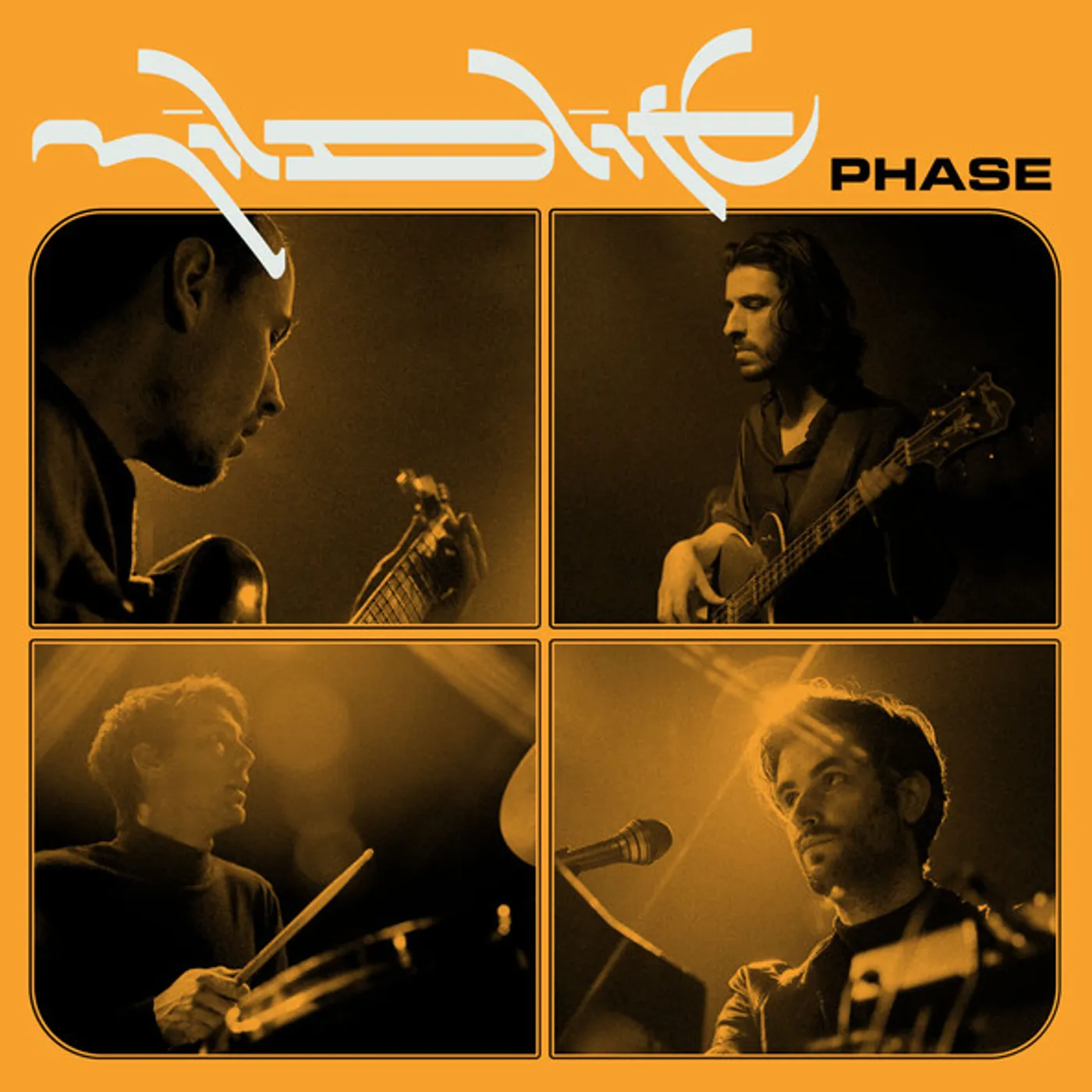 Phase Mildlife Vinyl Record