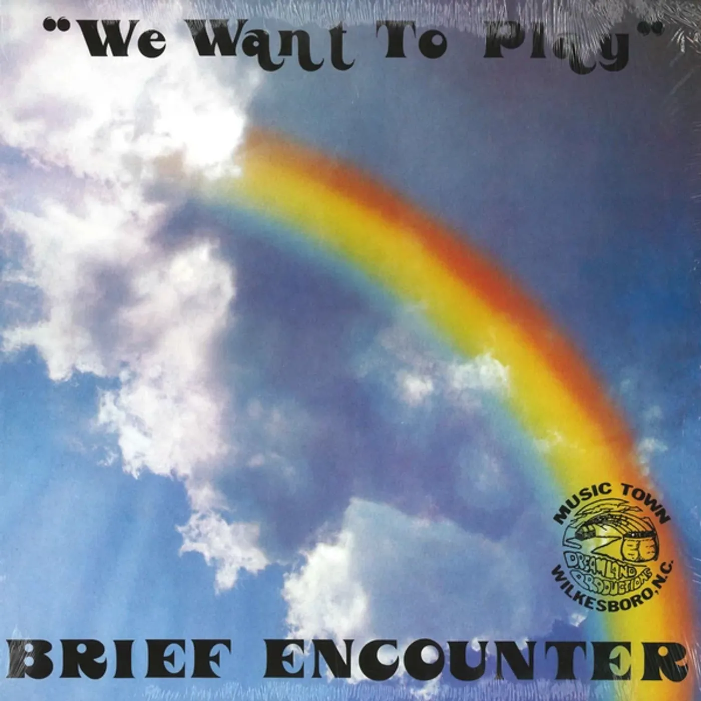 The Brief Encounter We Want To Play Vinyl Record