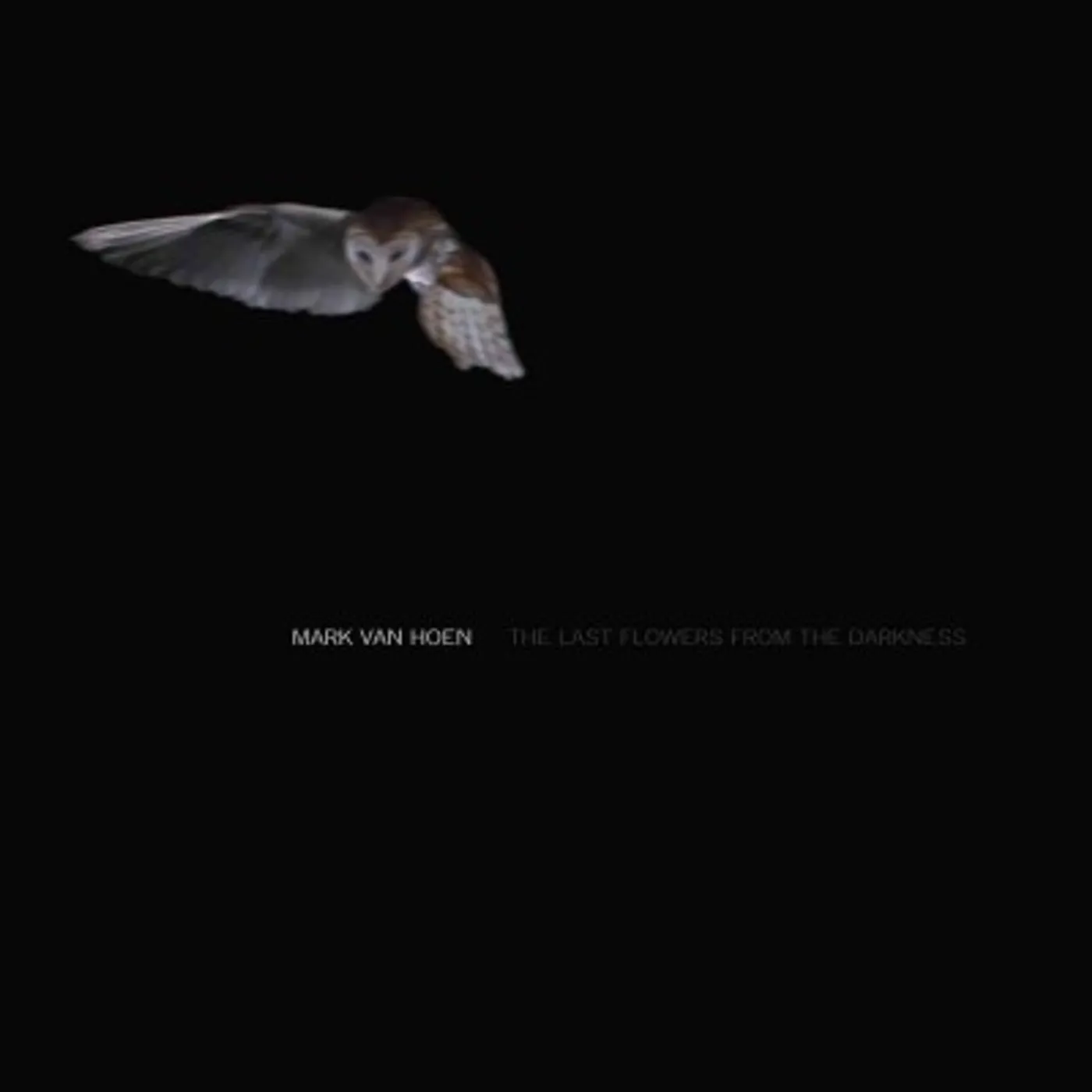 Mark Van Hoen Last Flowers from the Darkness Vinyl Record