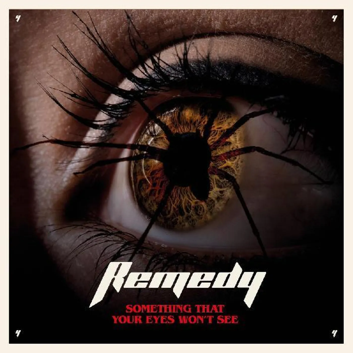 Remedy Something That Your Eyes Won't See CD