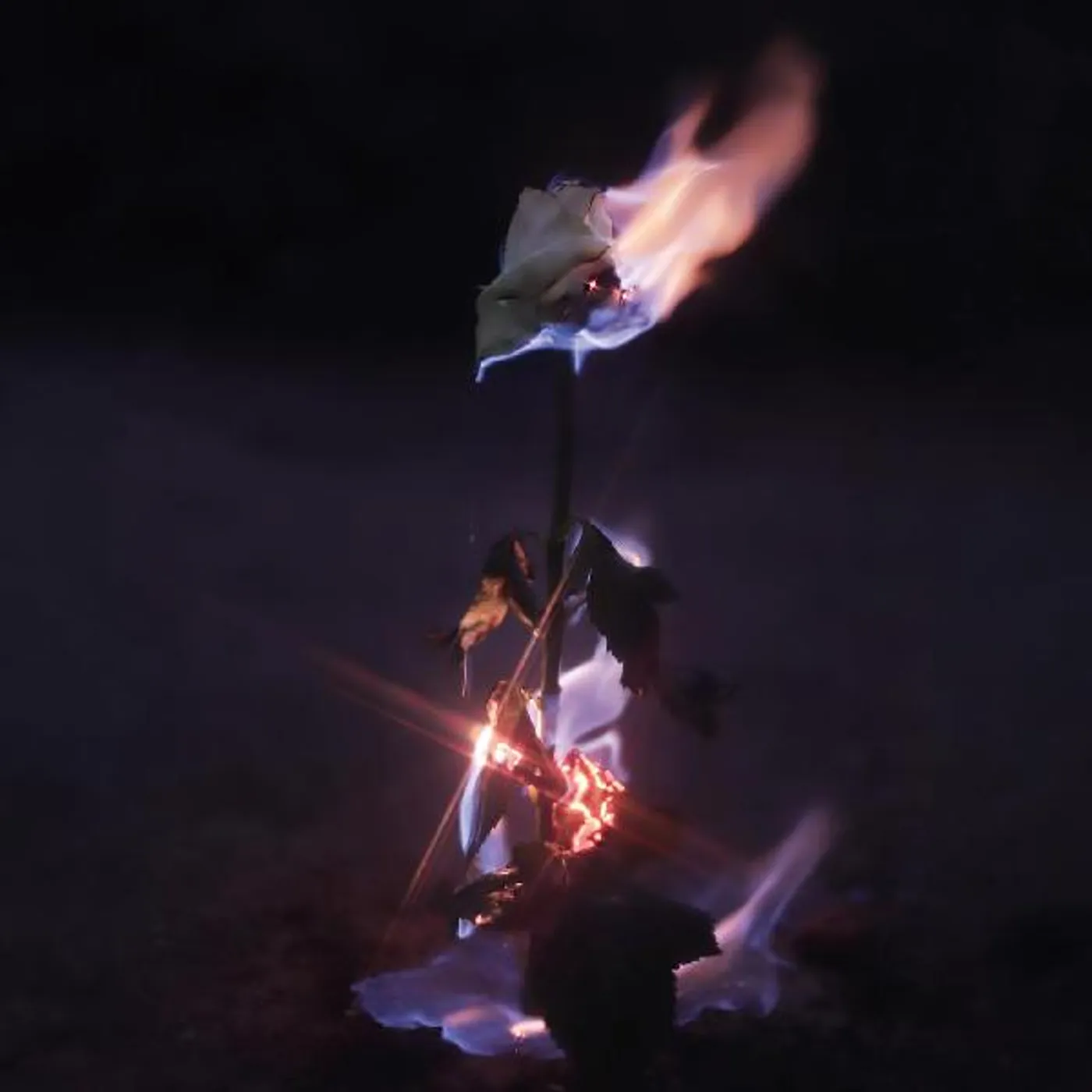 Farwarmth Momentary Glow CD