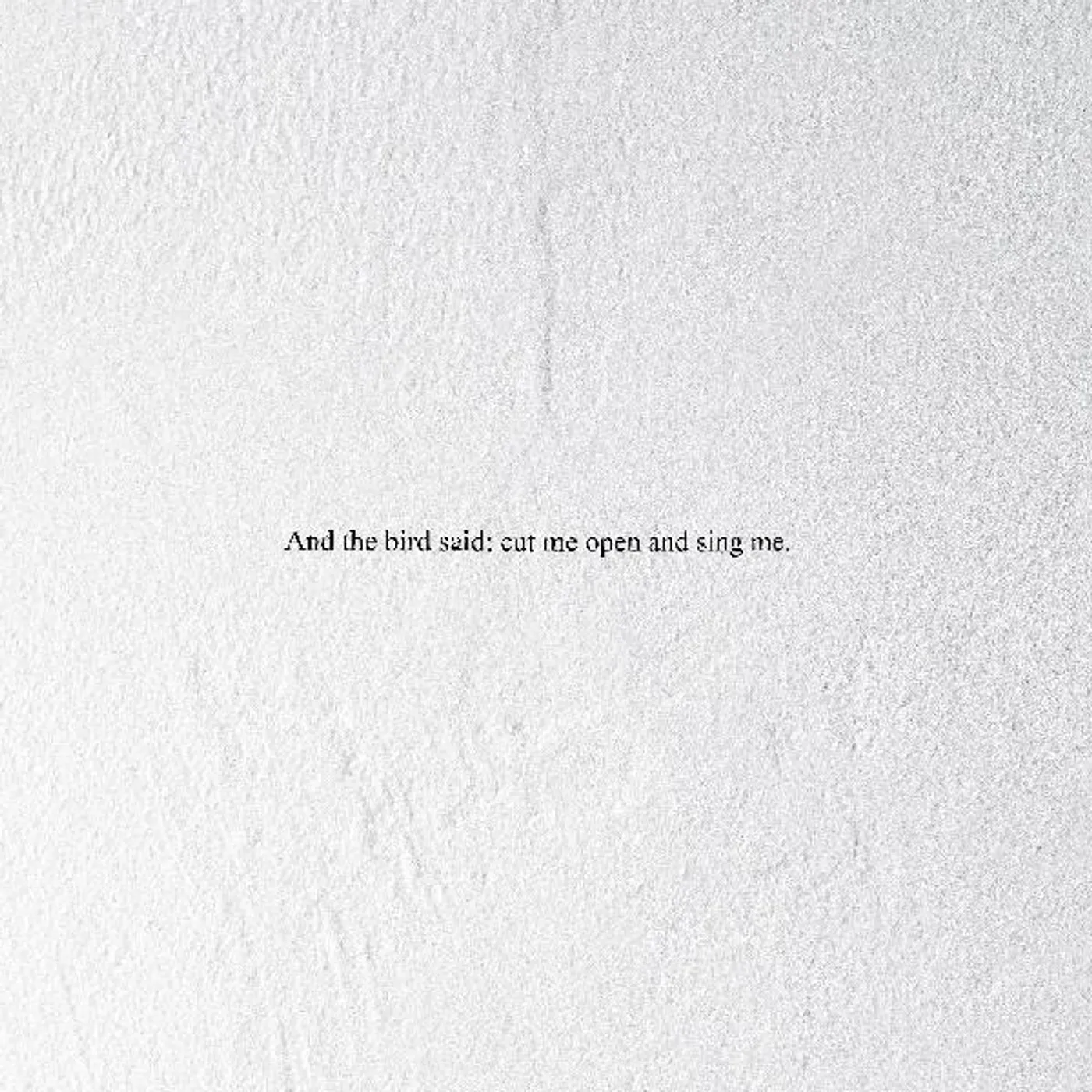 Prairie And The Bird Said: Cut Me Open And Sing CD