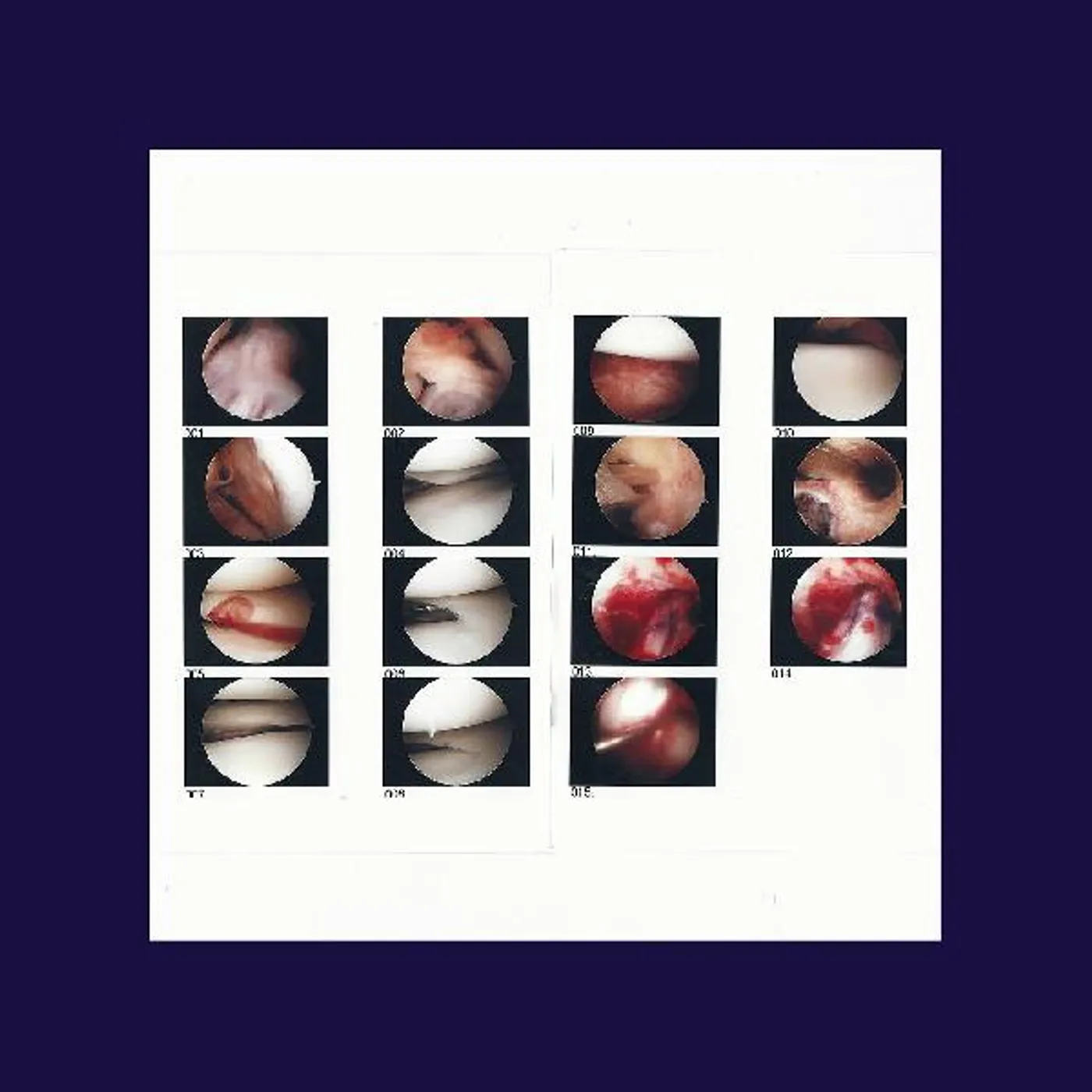 The Cradle LAUGHING IN MY SLEEP (DL CARD) CD