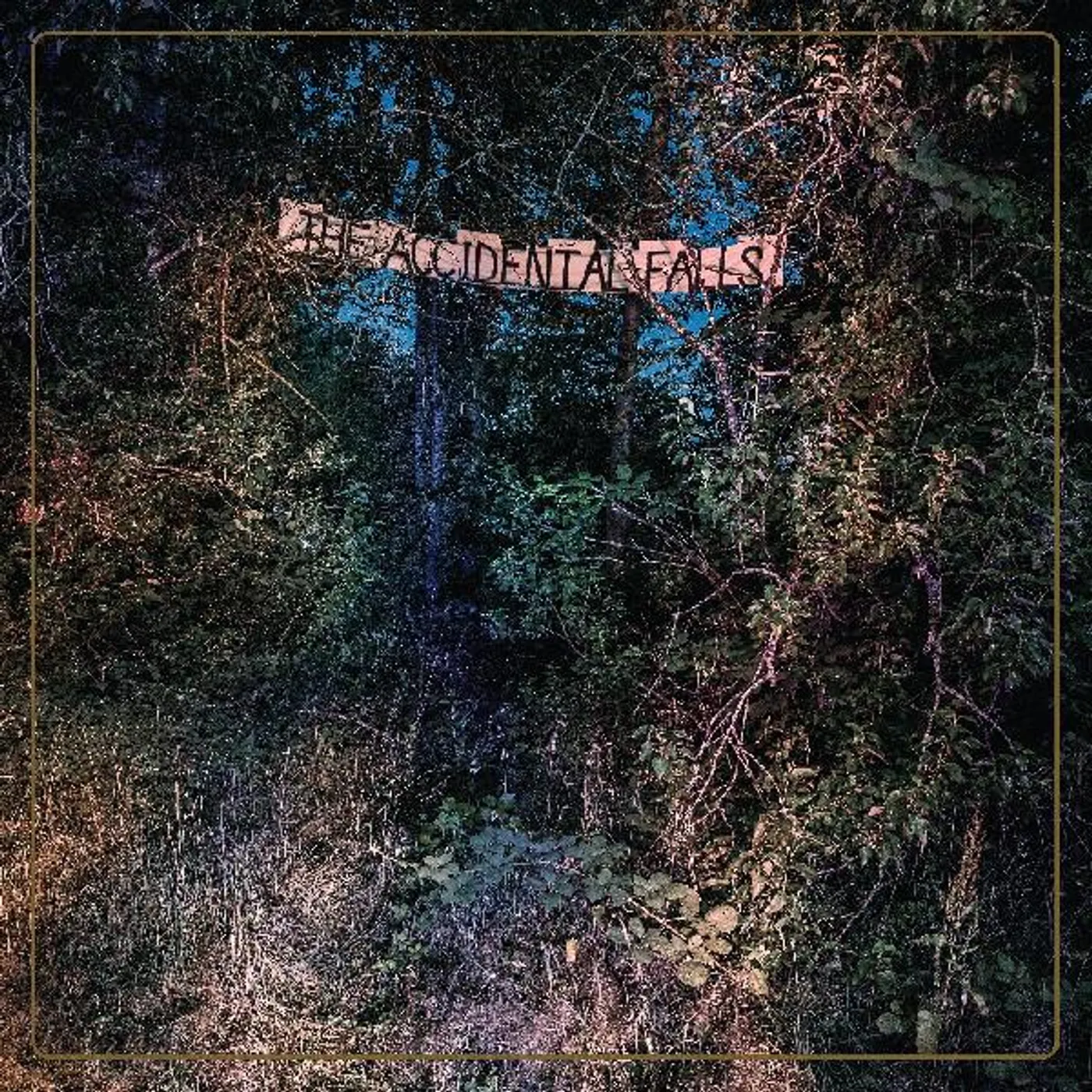 Eyelids ACCIDENTAL FALLS CD