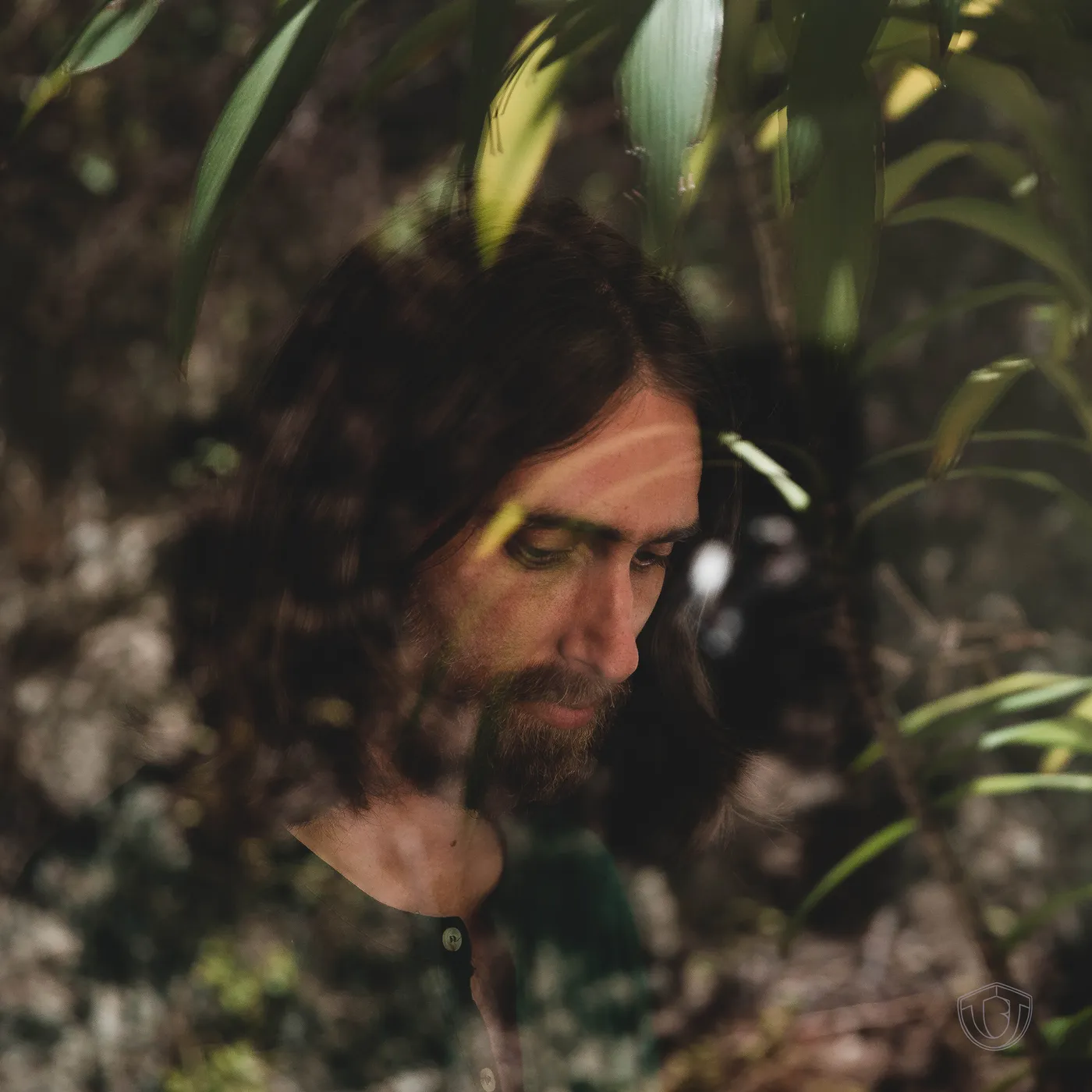 Trevor Beld Jimenez I LIKE IT HERE CD