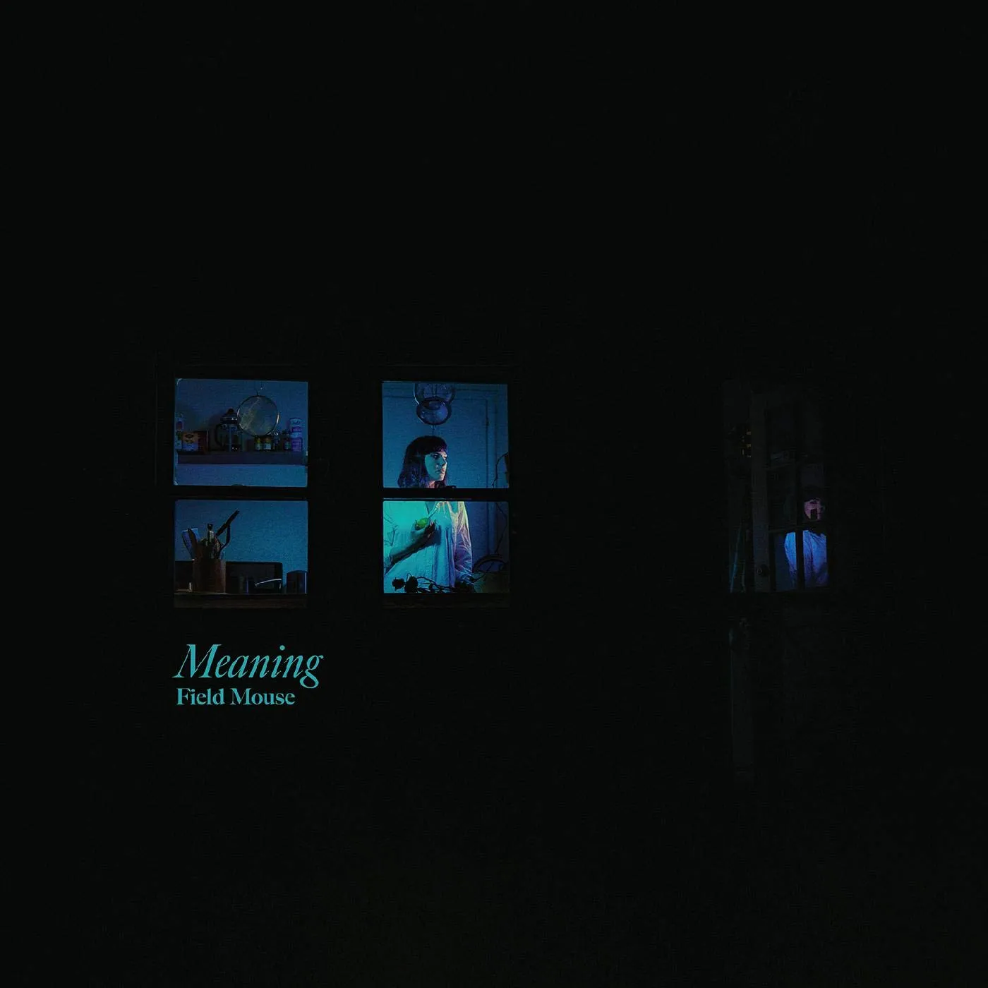 Field Mouse MEANING CD