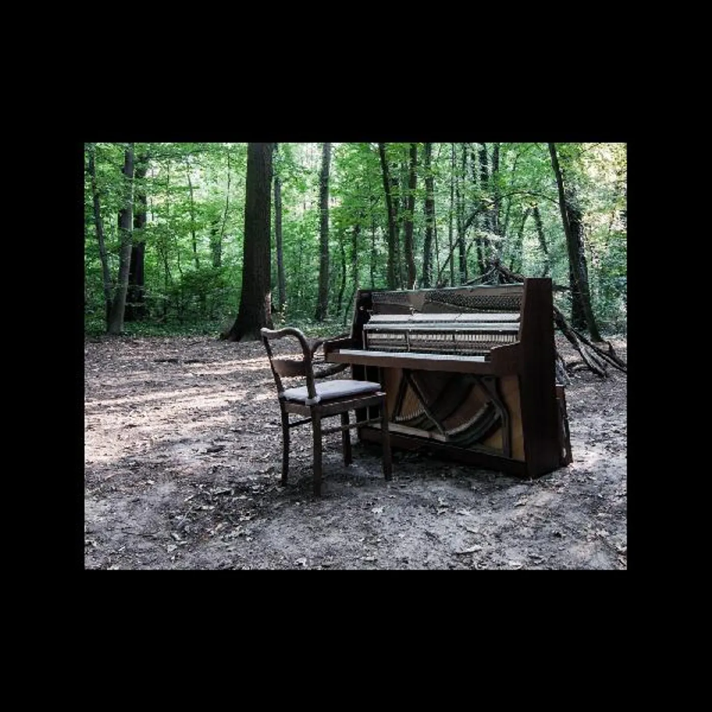 The Eye Of Time ACOUSTIC II CD