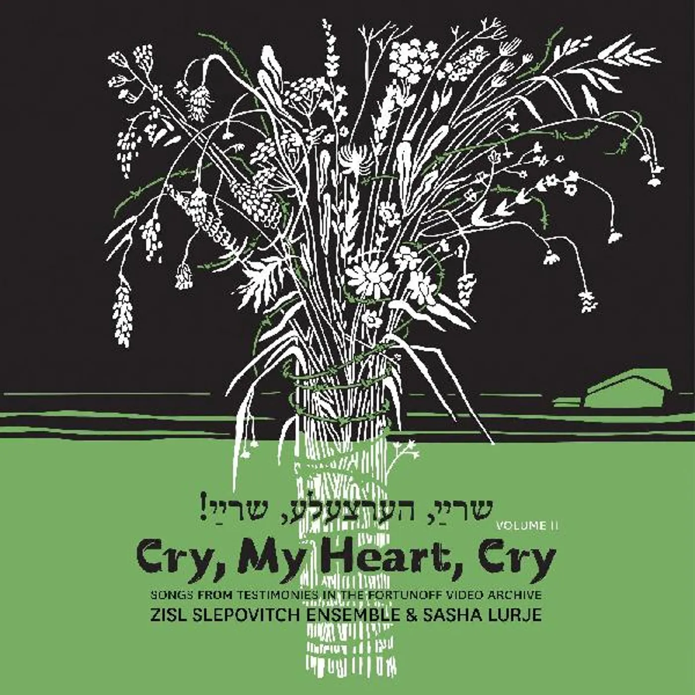 Zisl Slepovitch / Sasha Lurje CRY MY HEART CRY - SONGS FROM TESTIMONIES IN THE CD